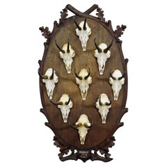 Large Wooden Carved Plaque with Chamois Trophies, Germany 1900