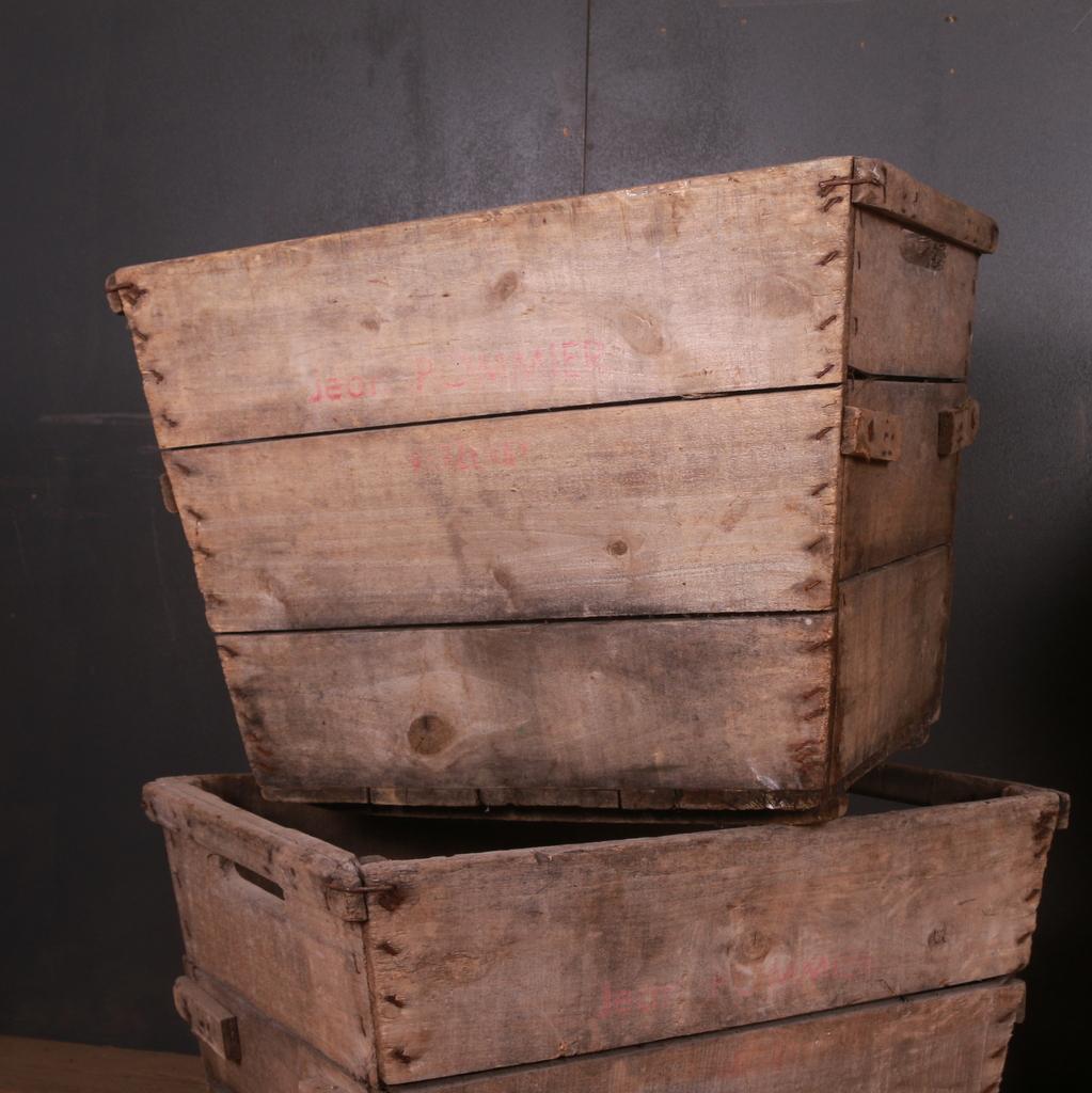 French Large Wooden Grape Bins