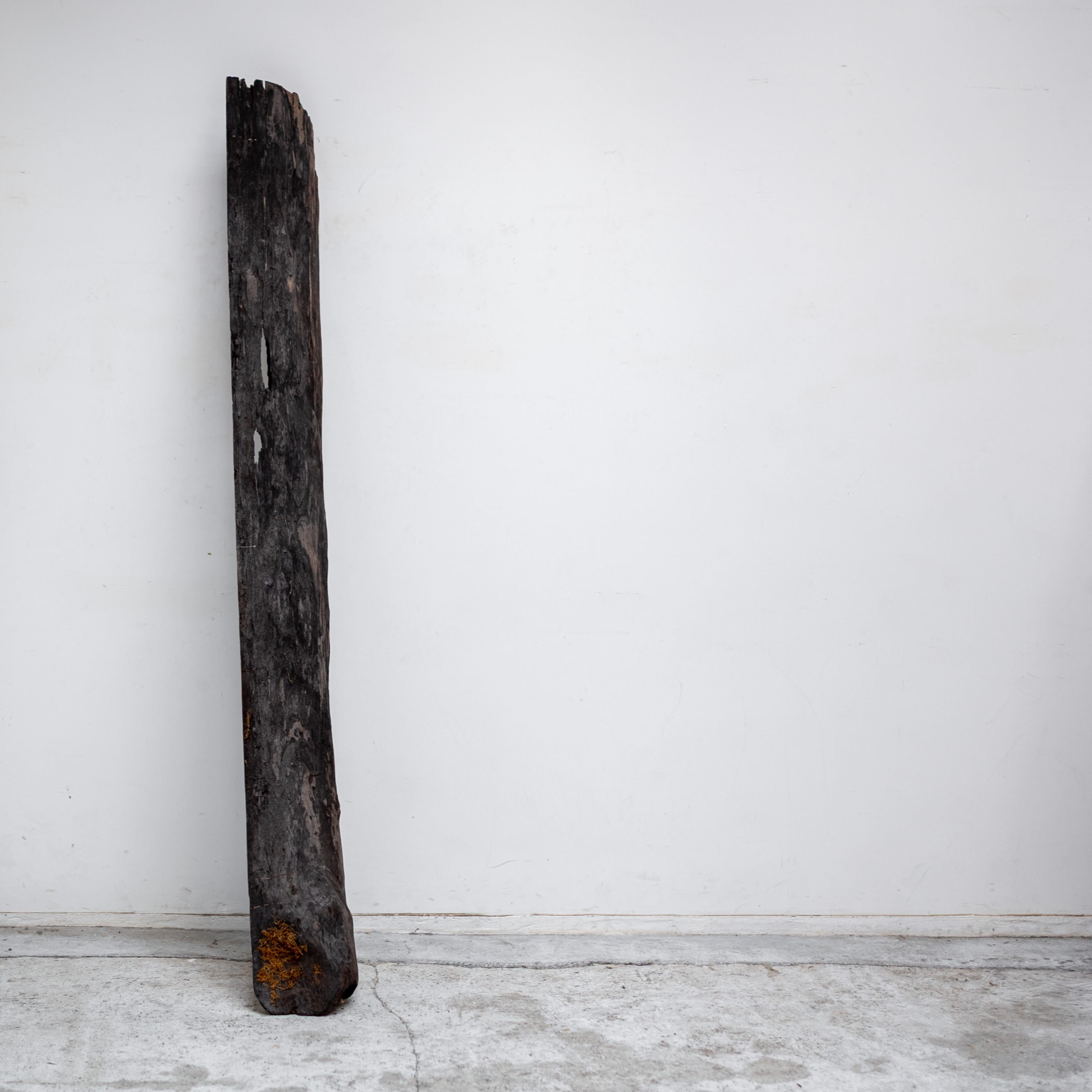 An expressive wooden form with a strong sculptural presence.
Its dark, timeworn surface reveals natural textures and cracks, evoking the quiet beauty of age and material transformation.

Originally found as a raw wooden element, it can be displayed
