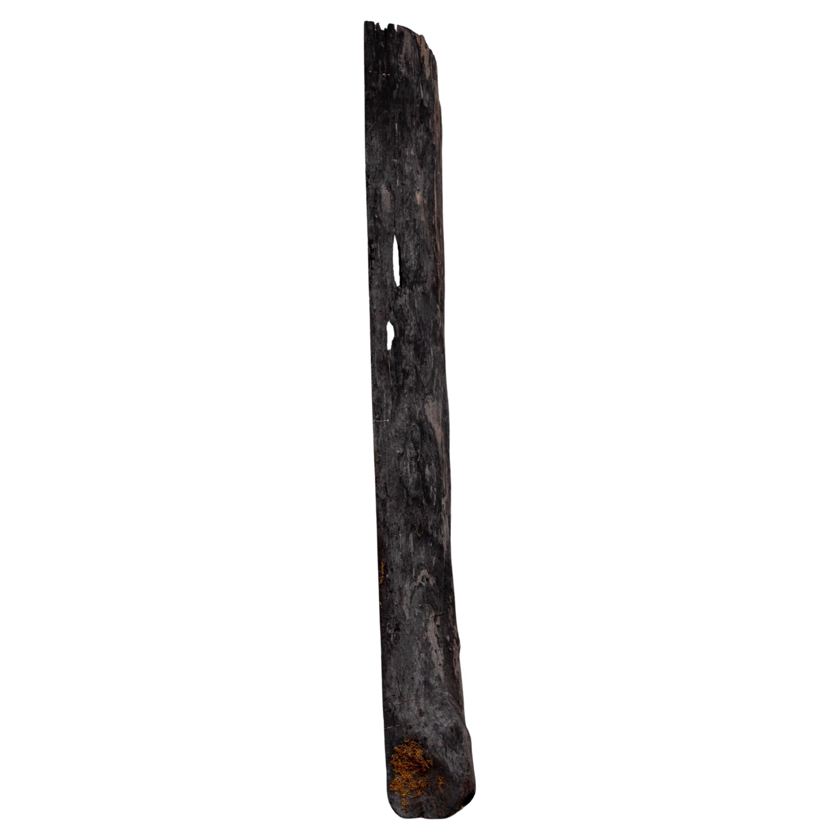 Large Wooden Object, France, Wabi Sabi,  circa 1900 For Sale