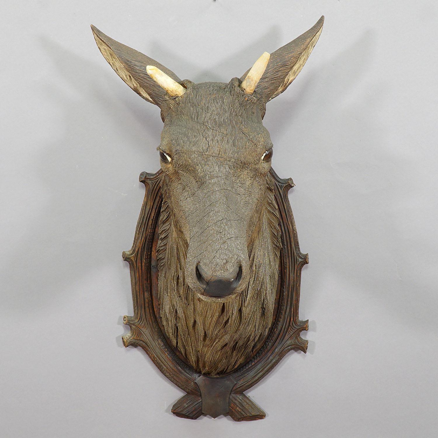 Large Wooden Stag Head with Real Antlers, Austria Ebensee, ca. 1900 2