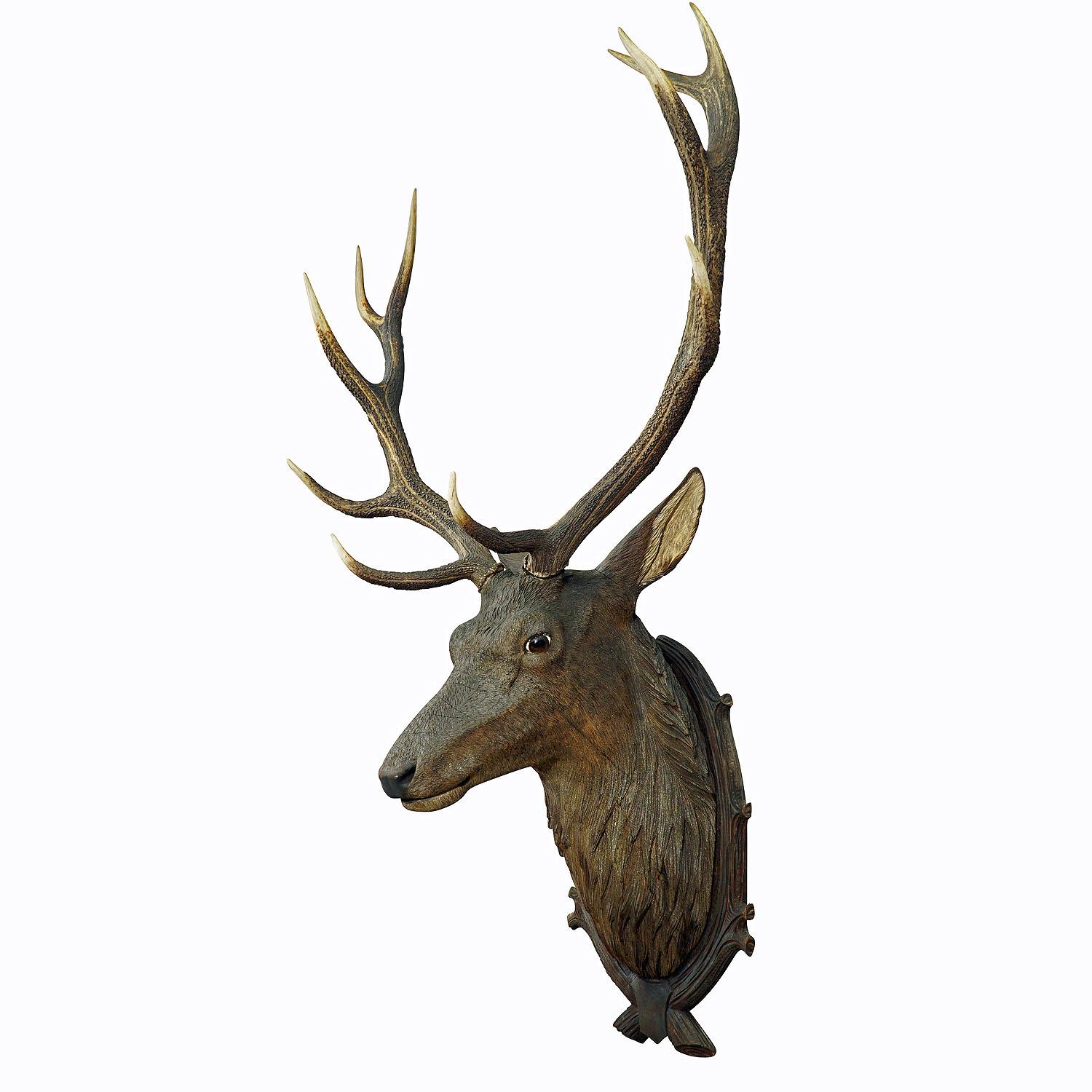 A large impressive Black Forest stag head, handcarved in Austria ca. 1900. Mounted on a wooden carved wall plaque and with a large pair of real deer antlers. Handcarved in the area of Ebensee, Austria by one of the famous woodcarvers of this region