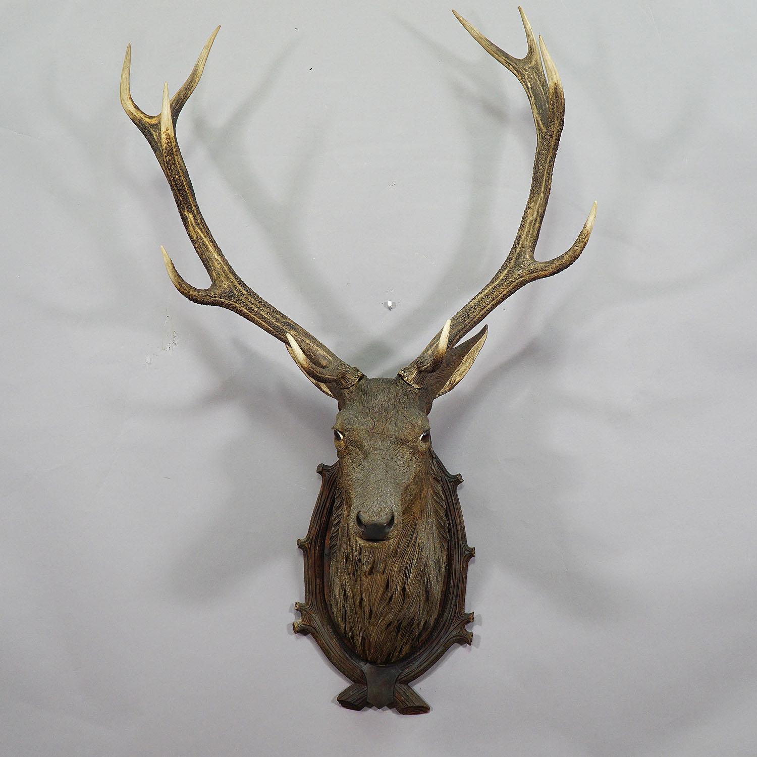 real stag head