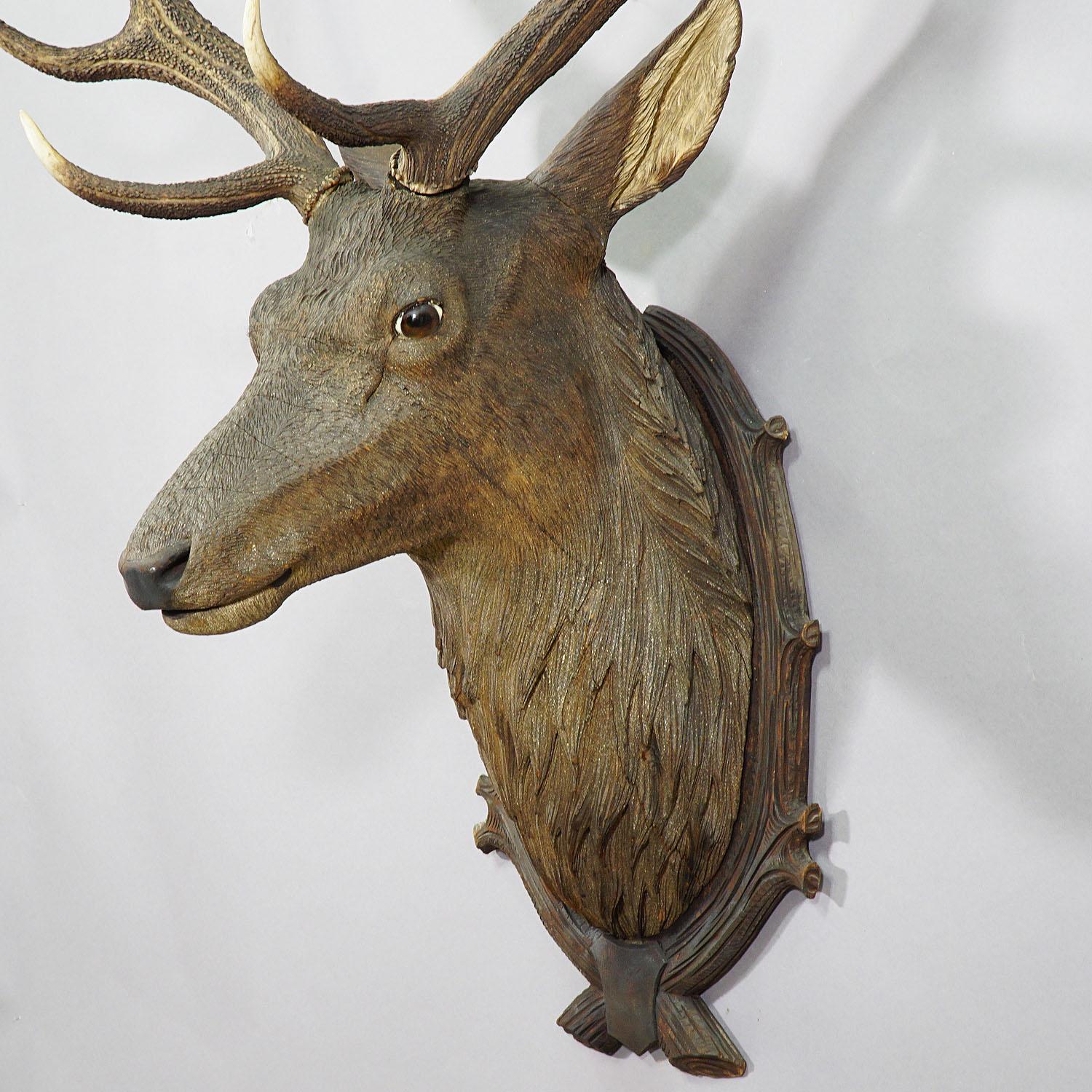 large stags head wall mount