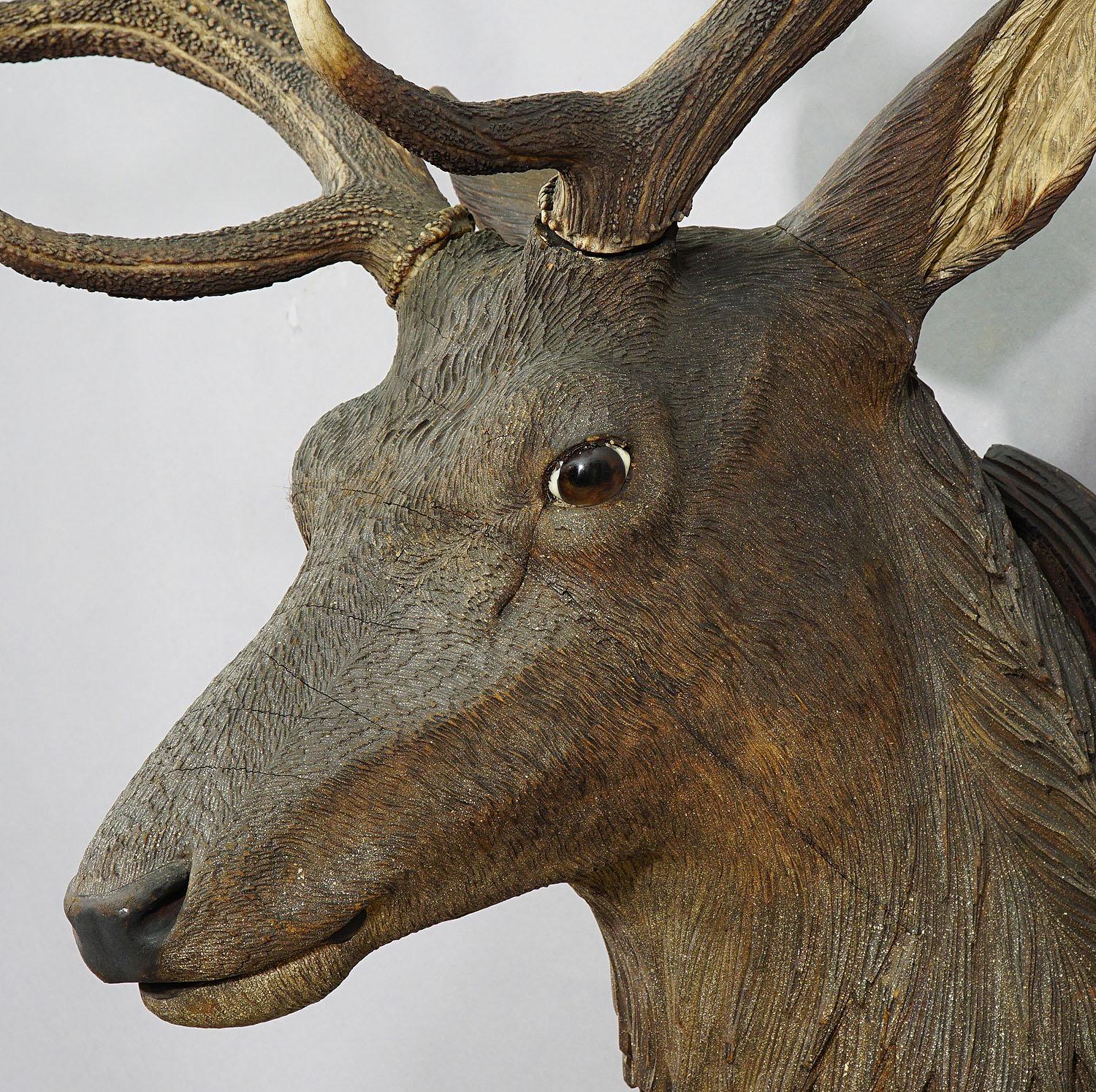 Black Forest Large Wooden Stag Head with Real Antlers, Austria Ebensee, ca. 1900