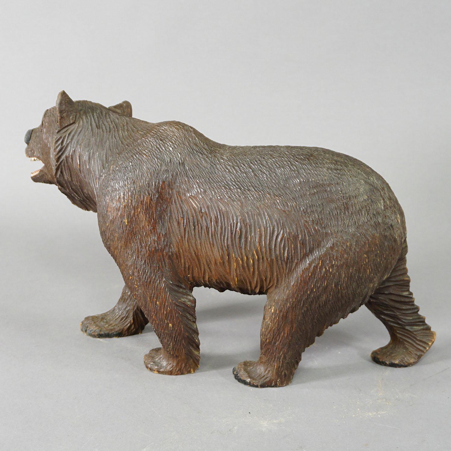 Swiss Large Wooden Strolling Bear Handcarved in Brienz ca. 1930 For Sale
