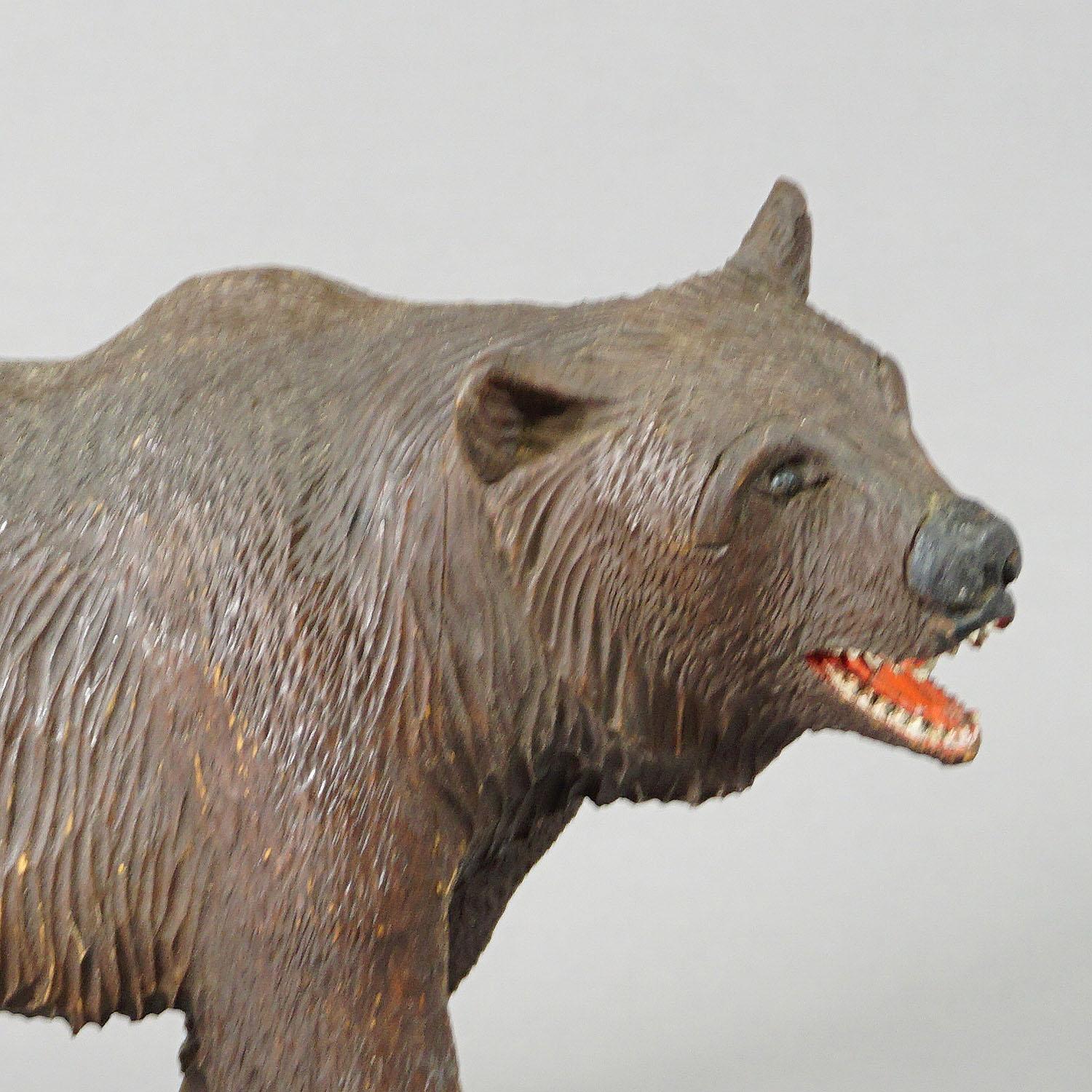 Hand-Carved Large Wooden Strolling Bear Handcarved in Brienz ca. 1930 For Sale