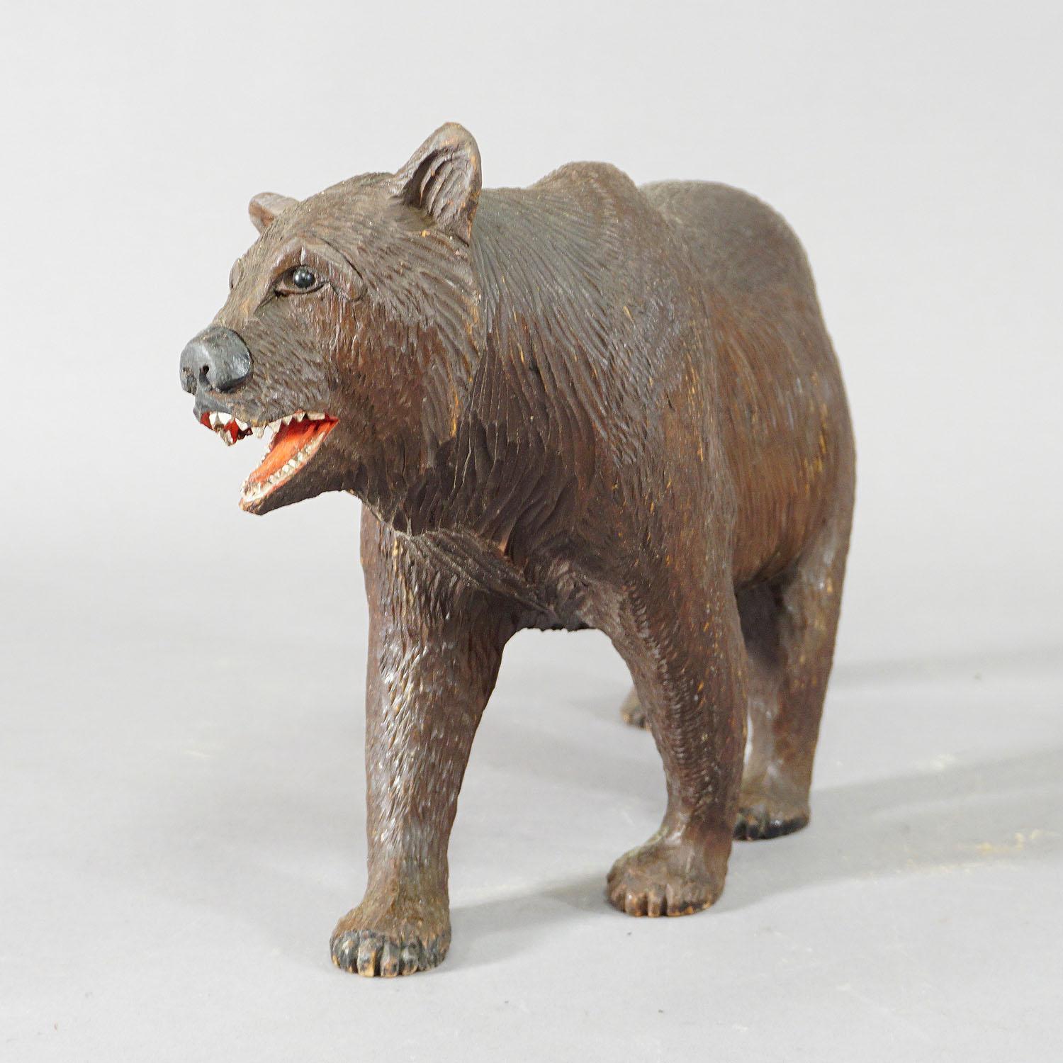 20th Century Large Wooden Strolling Bear Handcarved in Brienz ca. 1930 For Sale