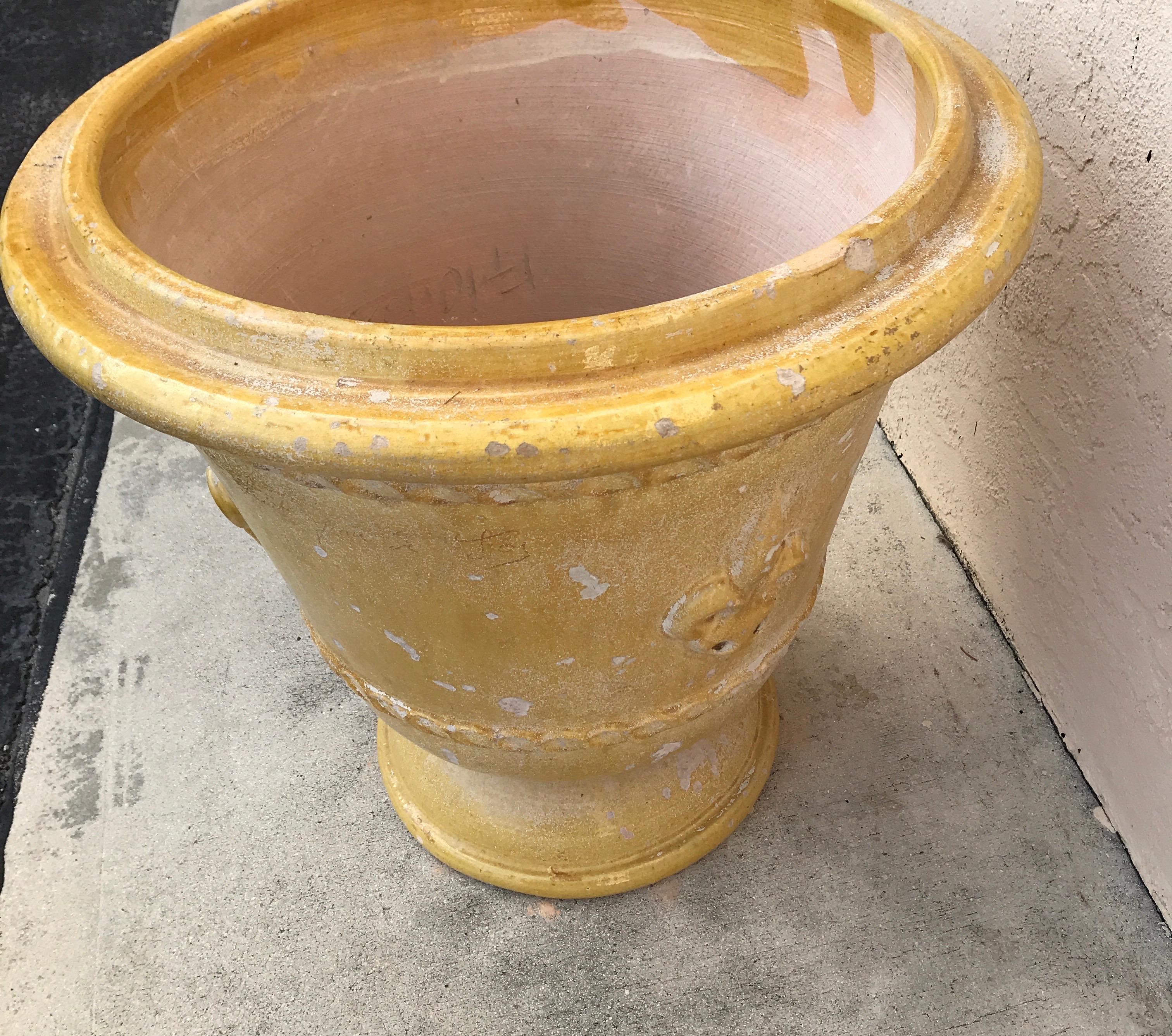 Jardinera grande esmaltada Flor de Lis amarilla Francés