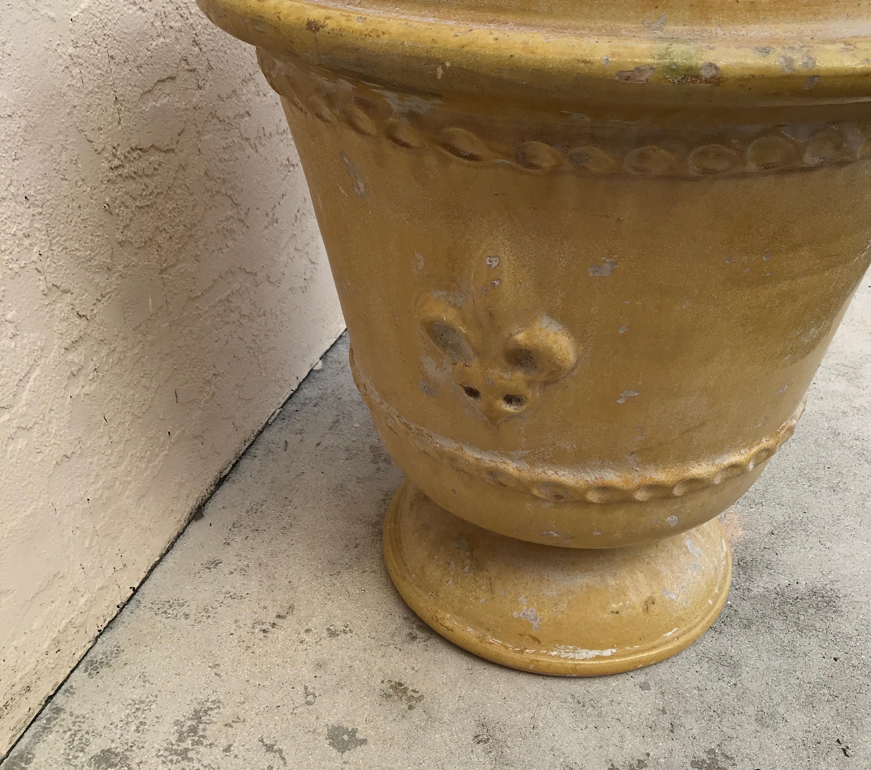 large yellow planter