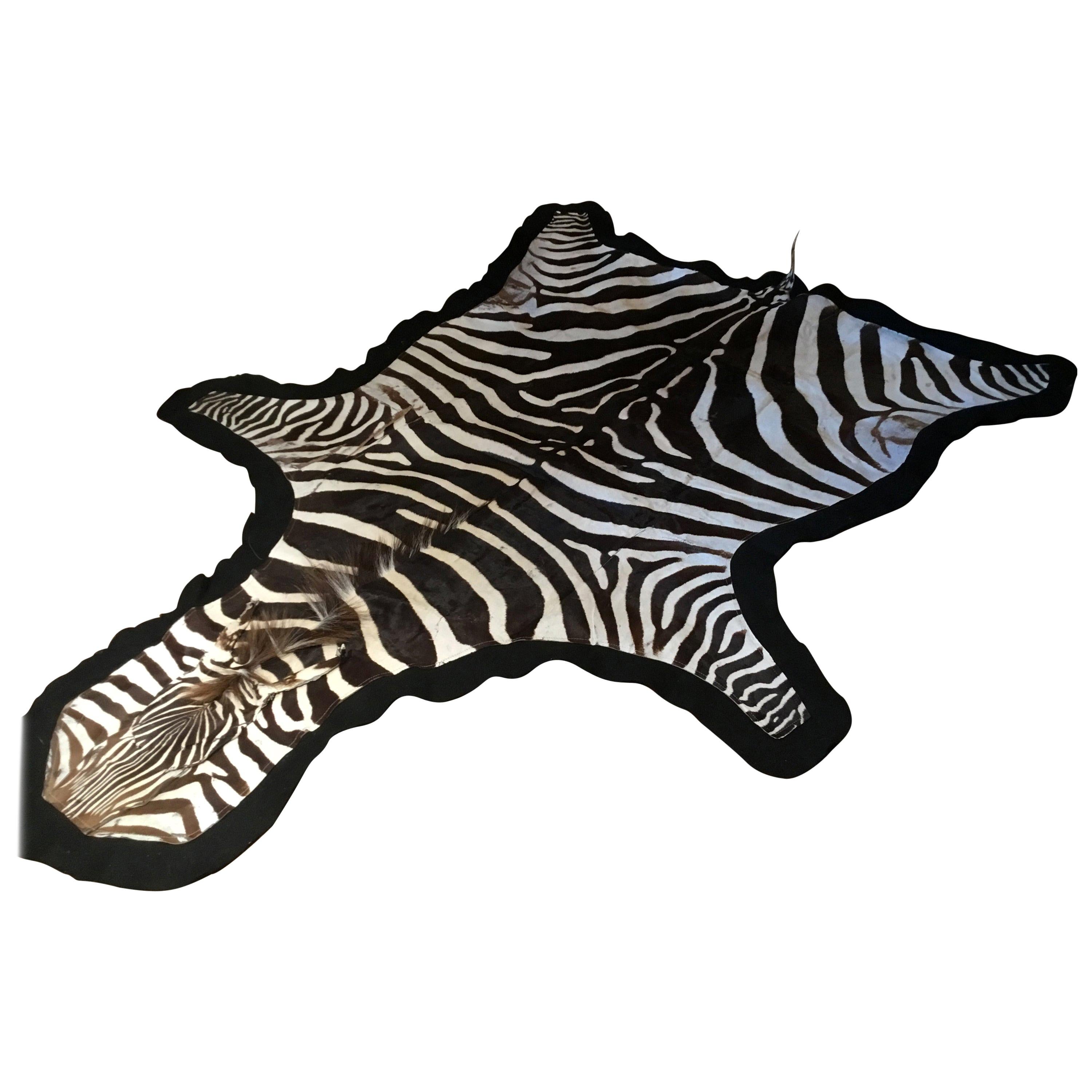 Large Zebra Hide Rug, Taxidermy with Felt Backing at 1stDibs