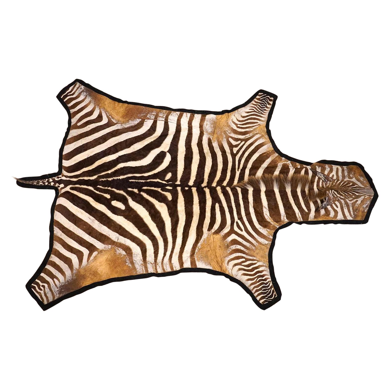 Large Zebra Hide Rug with Black Felt Backing