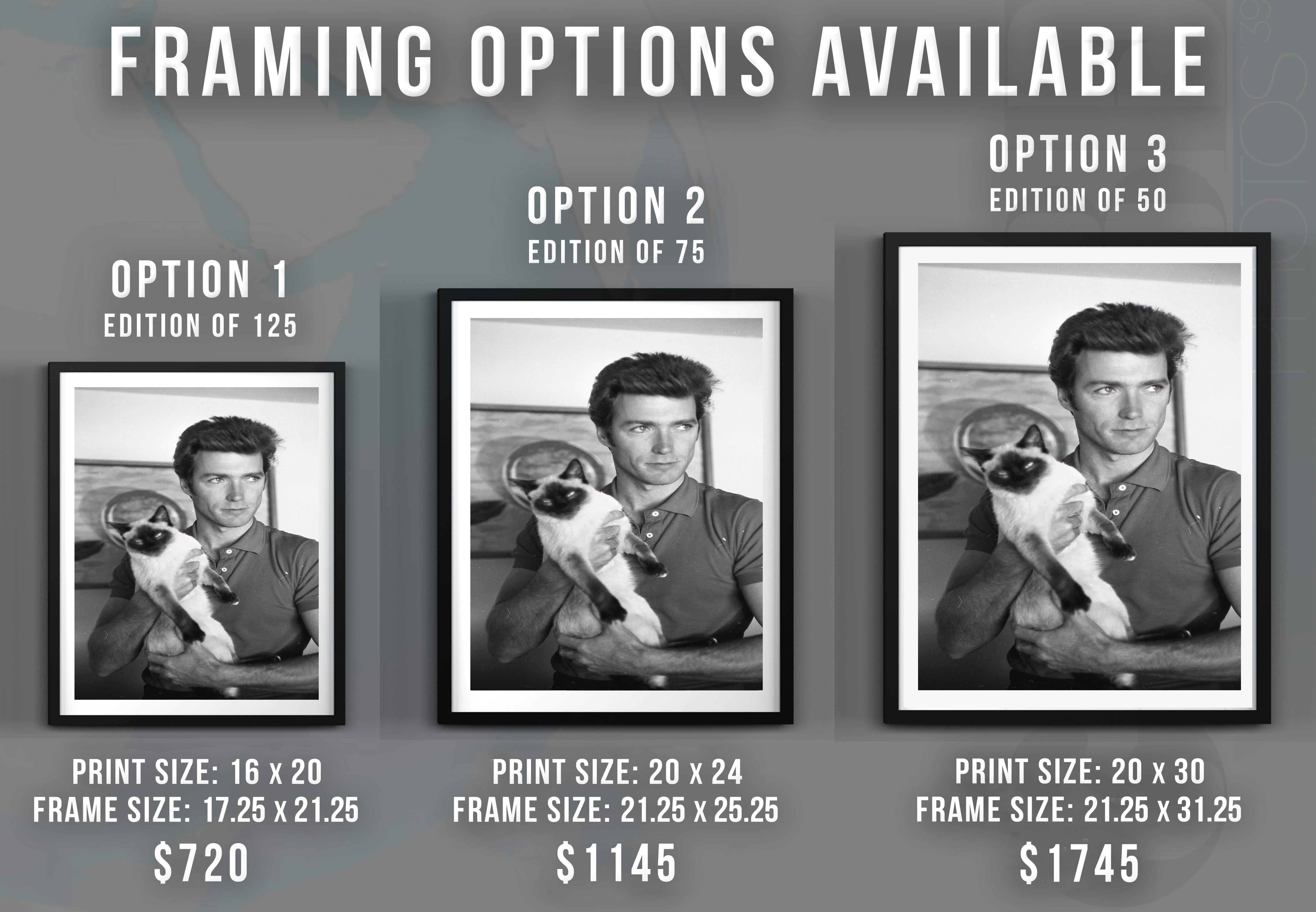 clint eastwood cat picture