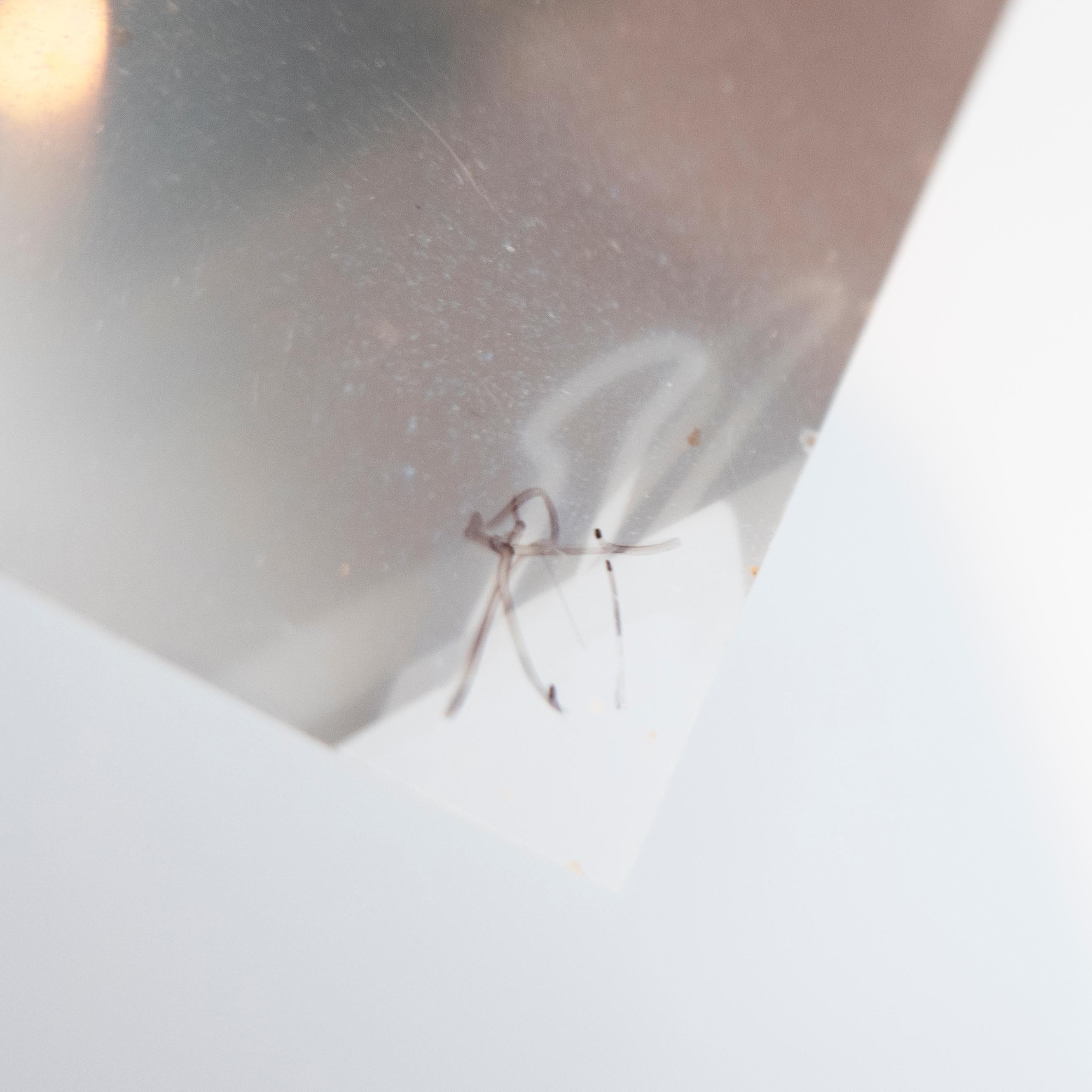 Larry Bell ist vor allem für seine minimalistischen Skulpturen bekannt - transparente Kuben, die vom Zusammenspiel von Form, Licht und Umgebung leben - und die die Ideen der Licht- und Raumbewegung der 1960er Jahre aufgreifen. Obwohl Bell schon früh