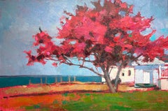 L'albero magenta "Crimson Springtime" in riva al mare aggiunge colore a un cottage