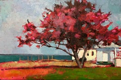 L'albero magenta "Crimson Springtime" in riva al mare aggiunge colore a un cottage