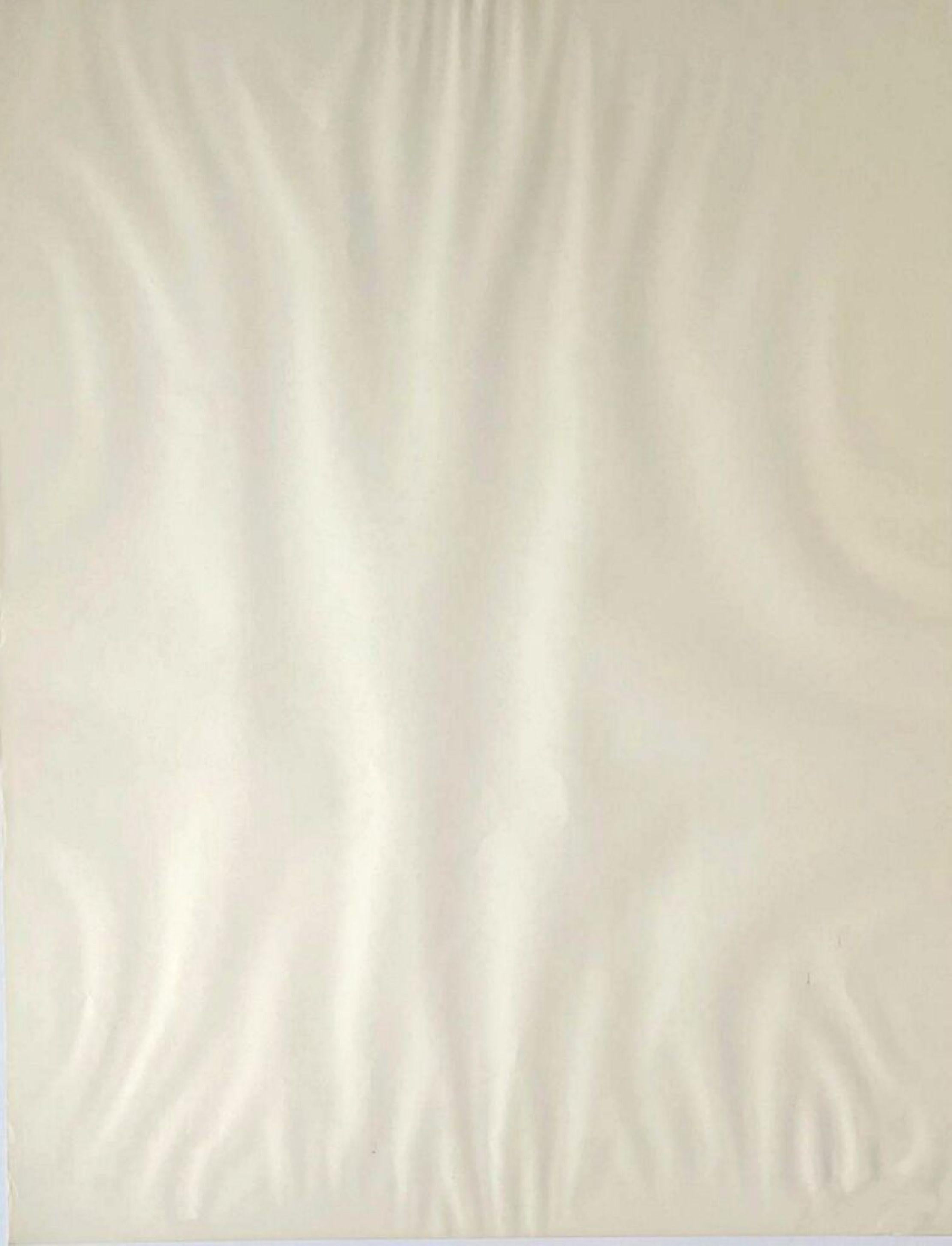 America Needs McGovern, Teniente Ed Mano firmada TANTO por Rivers como por McGovern - Abstract Print Beige de Larry Rivers