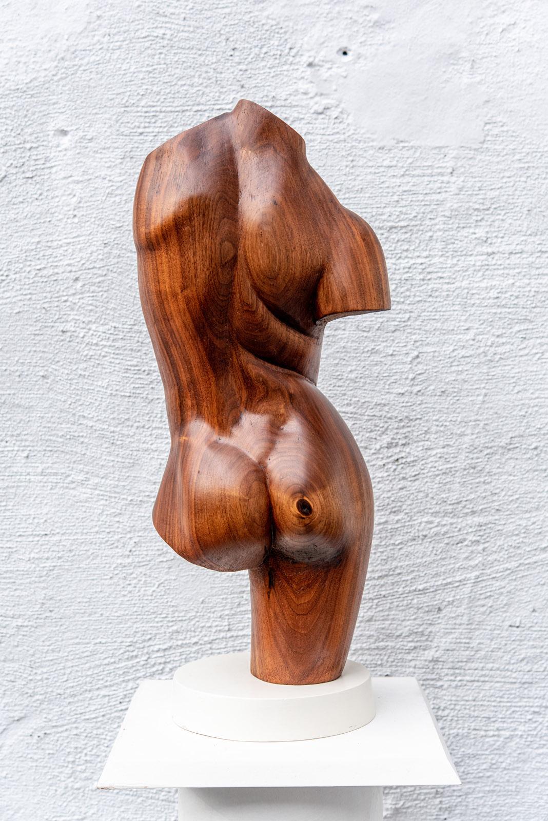 Le torse classique (femme) - Maîtres anciens Sculpture par Larry Scaturro
