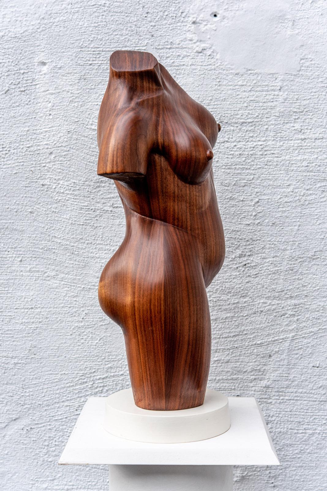 Klassischer Torso (Mädchen) (Braun), Nude Sculpture, von Larry Scaturro