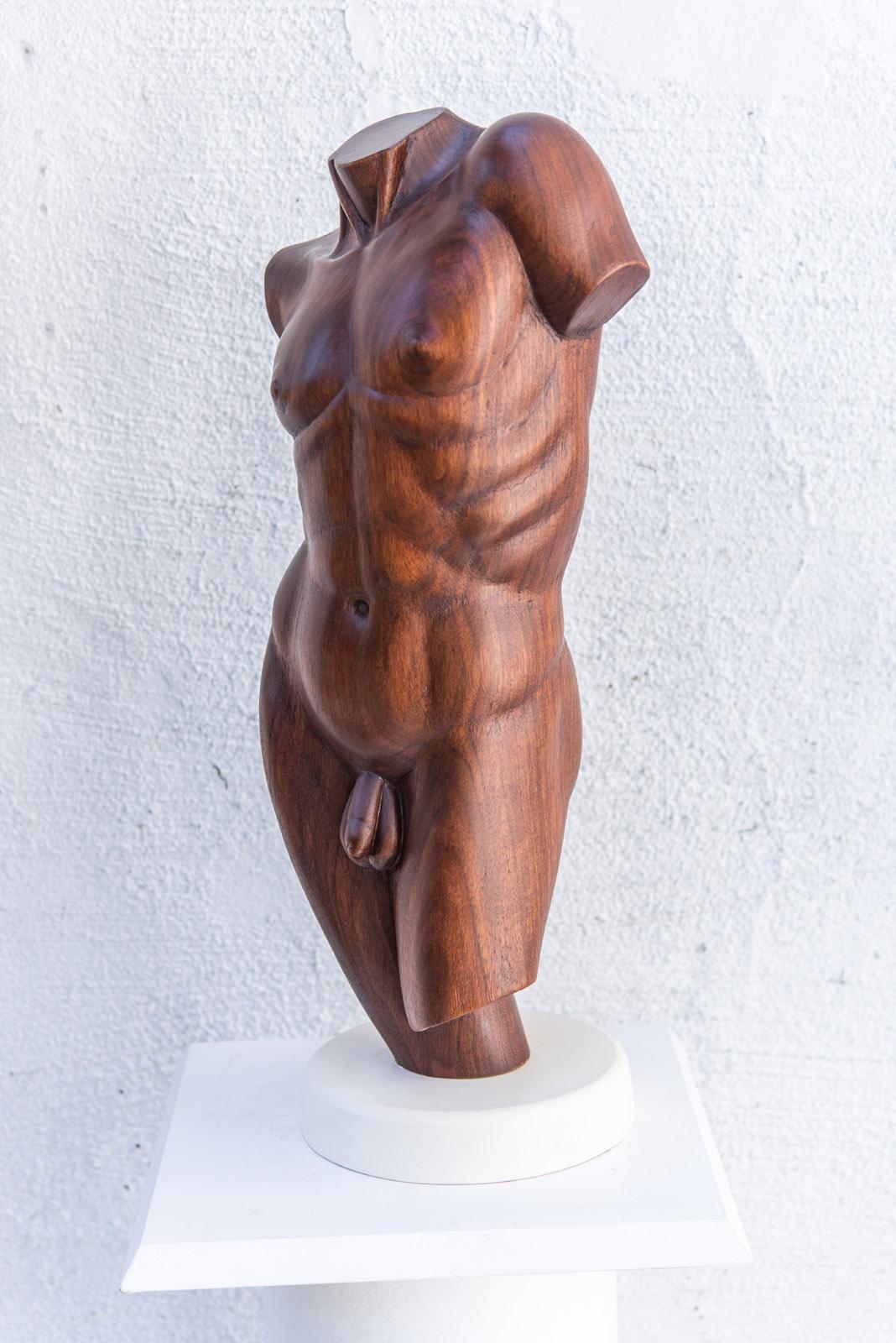 Klassischer männlicher Torso – Sculpture von Larry Scaturro