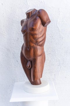 Torso Clásico Masculino