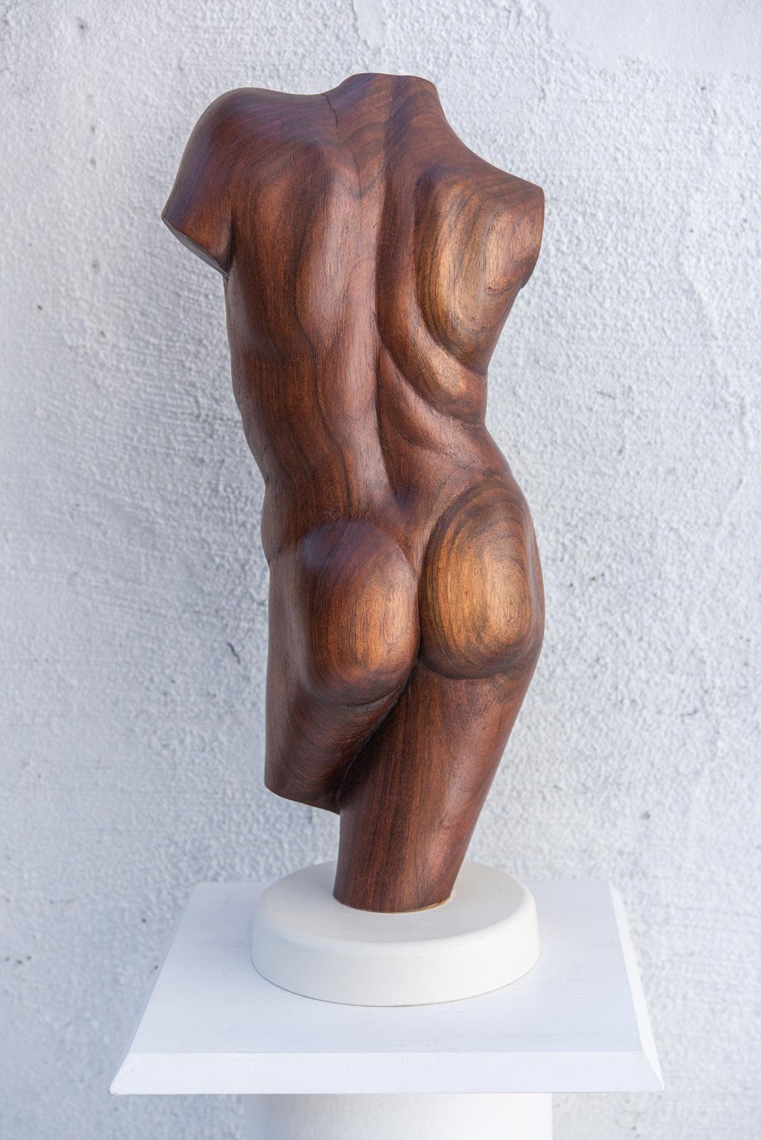 Klassischer männlicher Torso (Zeitgenössisch), Sculpture, von Larry Scaturro