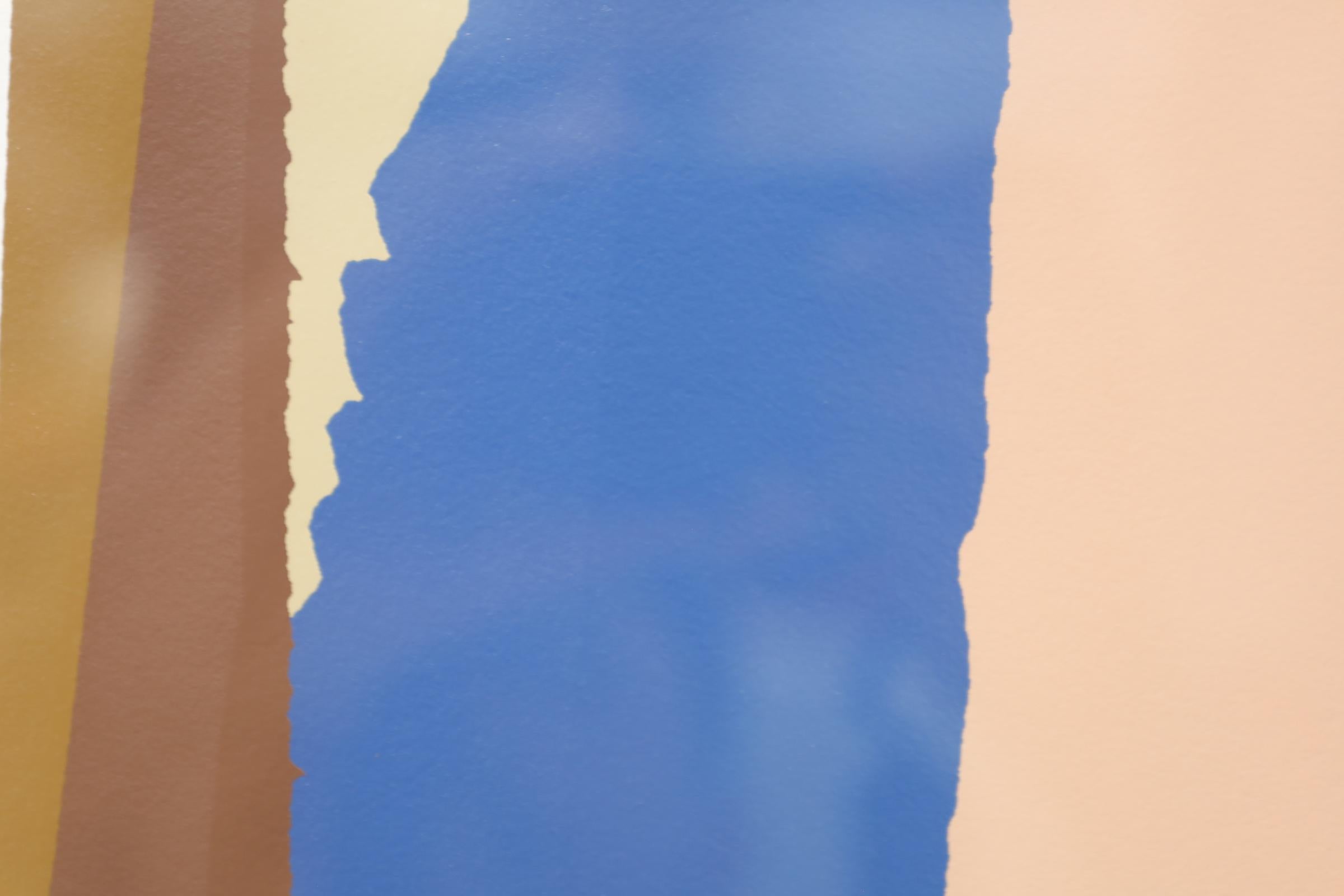 Pair of screenprints in quality frame by Larry Zox