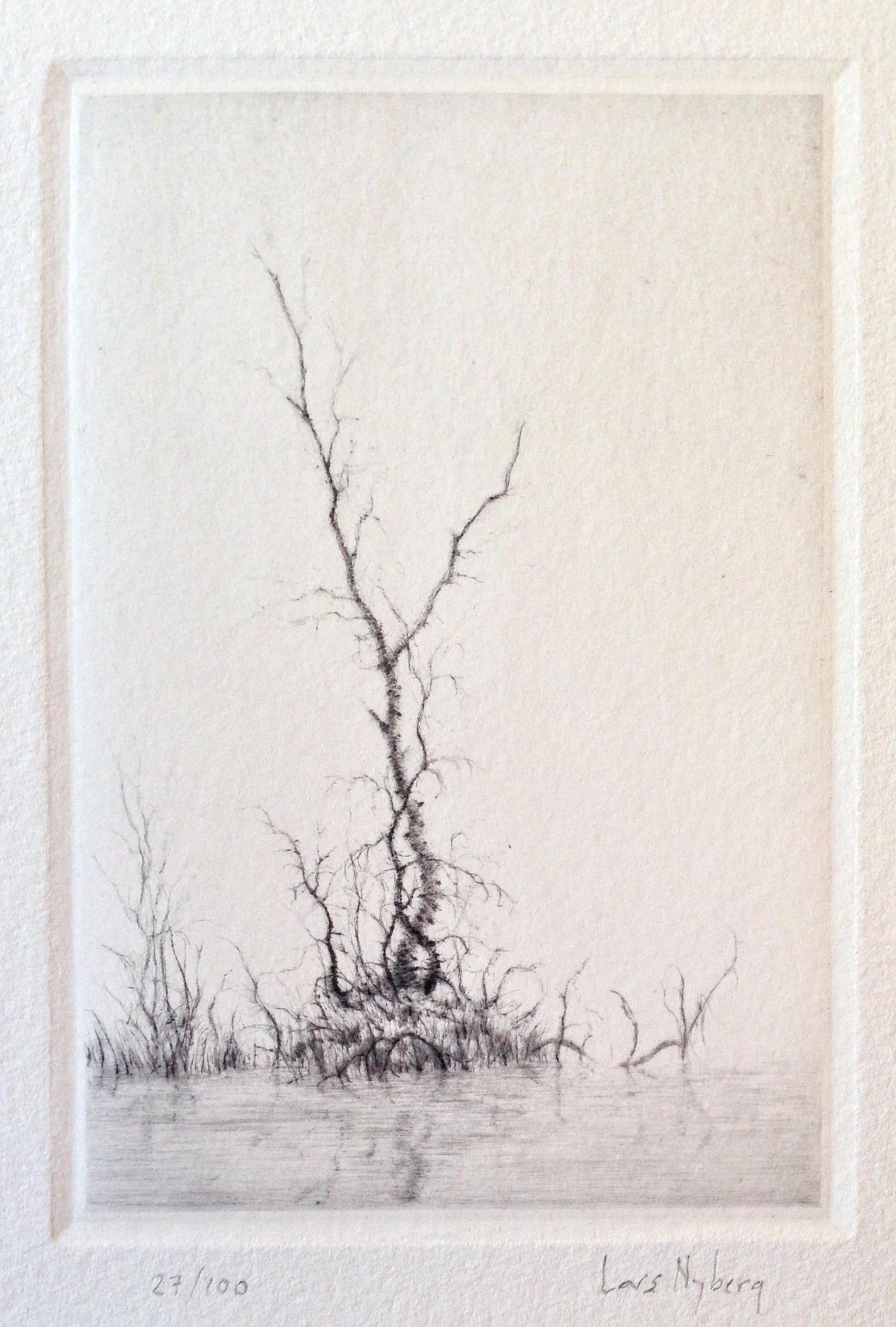Birch - Print by Lars Nyberg