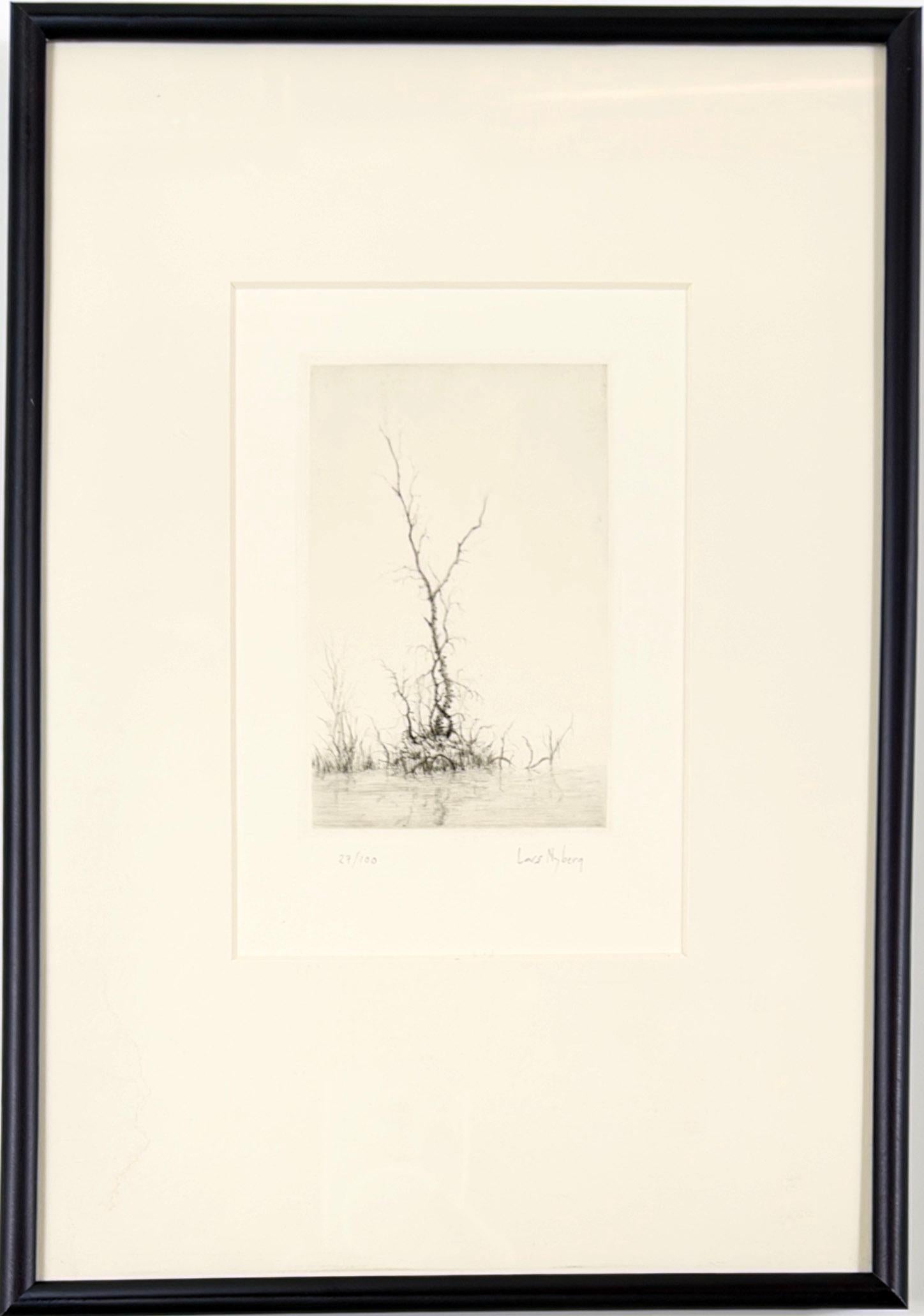 Lars Nyberg Still-Life Print - Birch