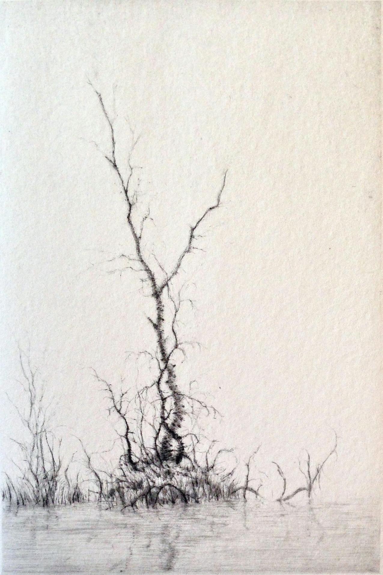 “Birch” — Framed Lars Nyberg Drypoint Etching, Nordic Landscape, Pencil Signed For Sale 1