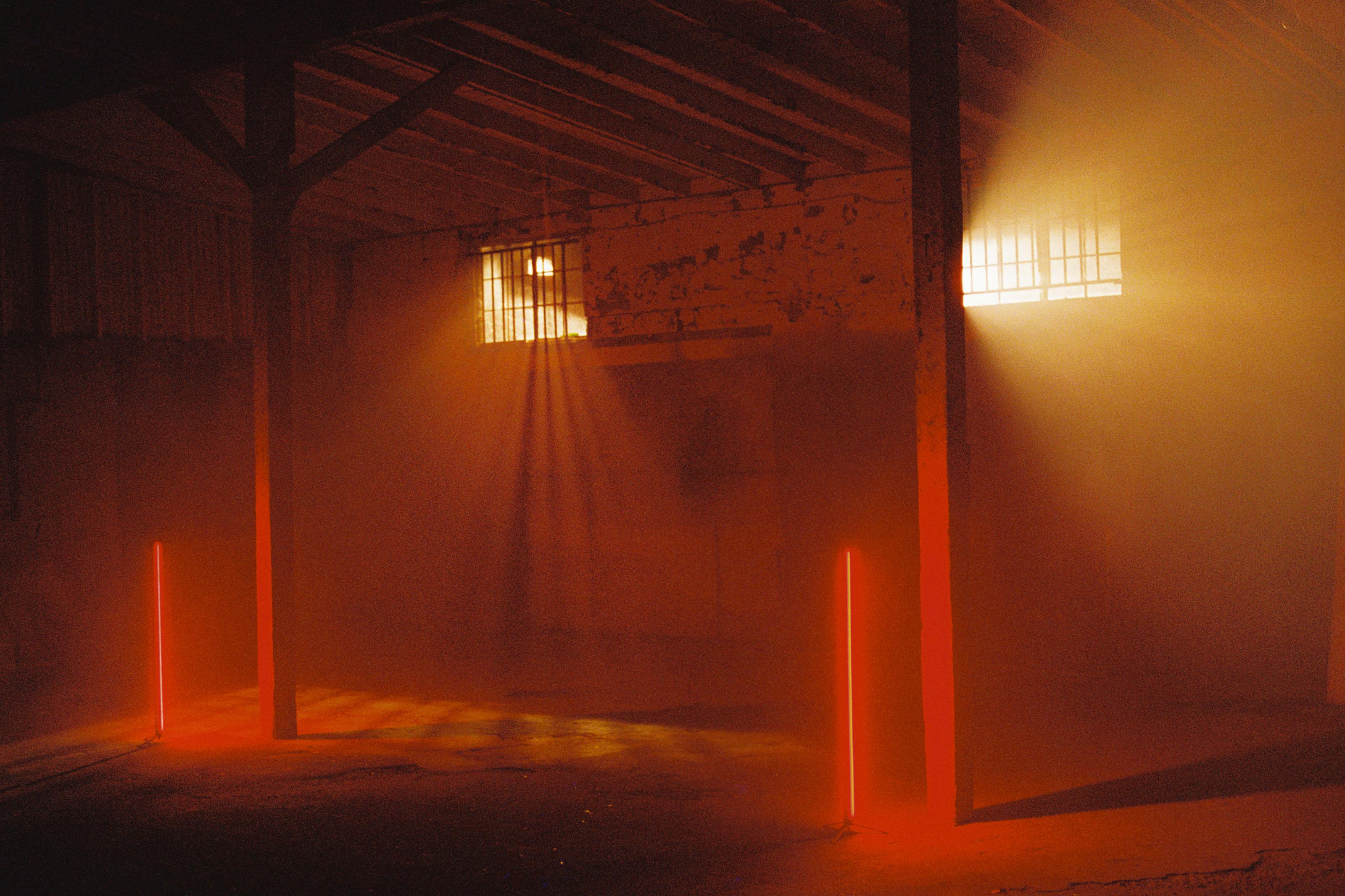 "Starburst" Fotografie 24" x 36" Zoll Edition 1/15 von Larsen Sotelo