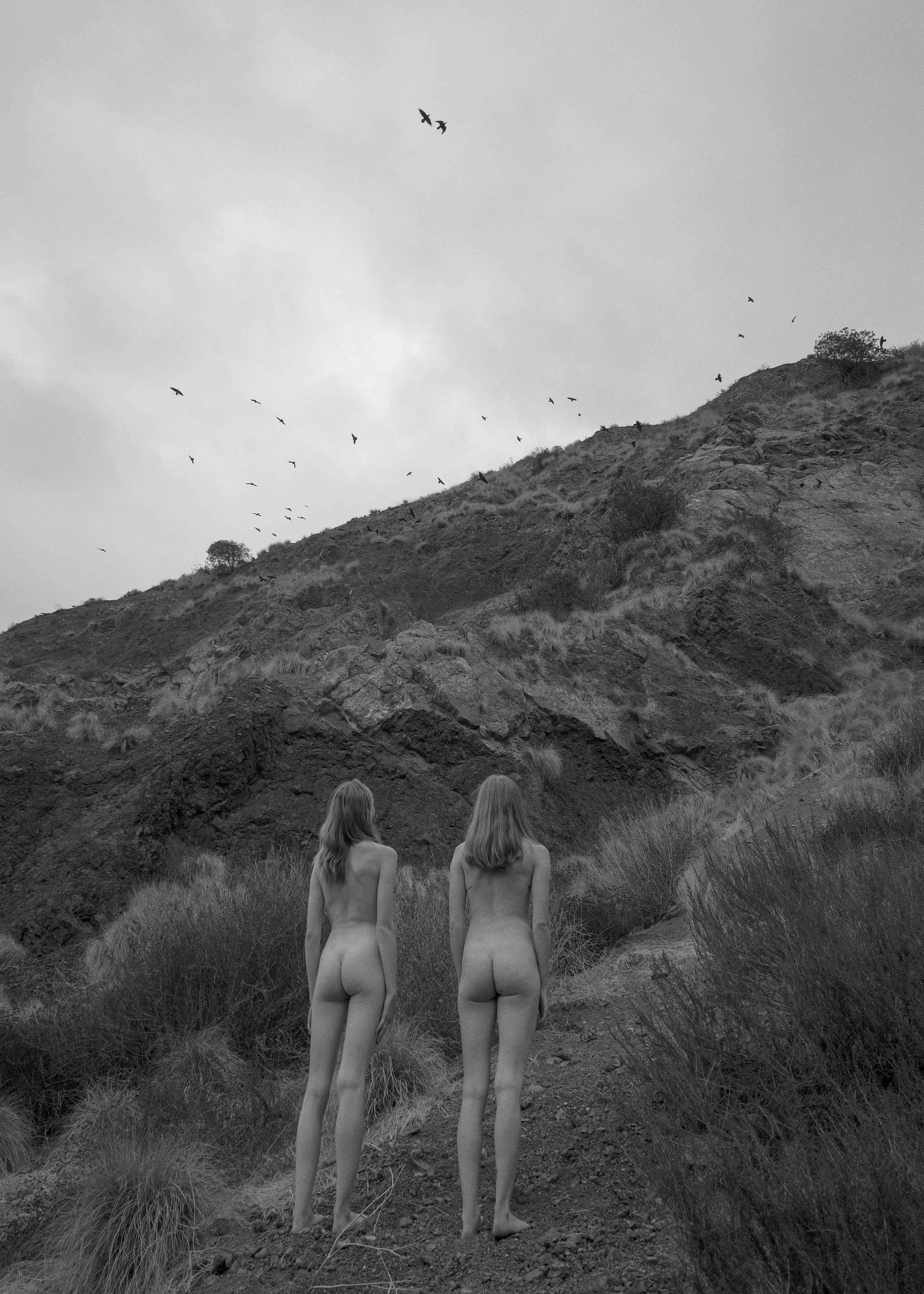 "Two Birds" Black &amp; White Photography 35" x 25" in Edition 1/15 by Larsen Sotelo

Not framed. Ships in a tube
Giclee (Archival Ink) print on 310G Platine Fibre Cotton Rag w/satin finish

Signed and numbered by the artist.
Comes with COA issued
