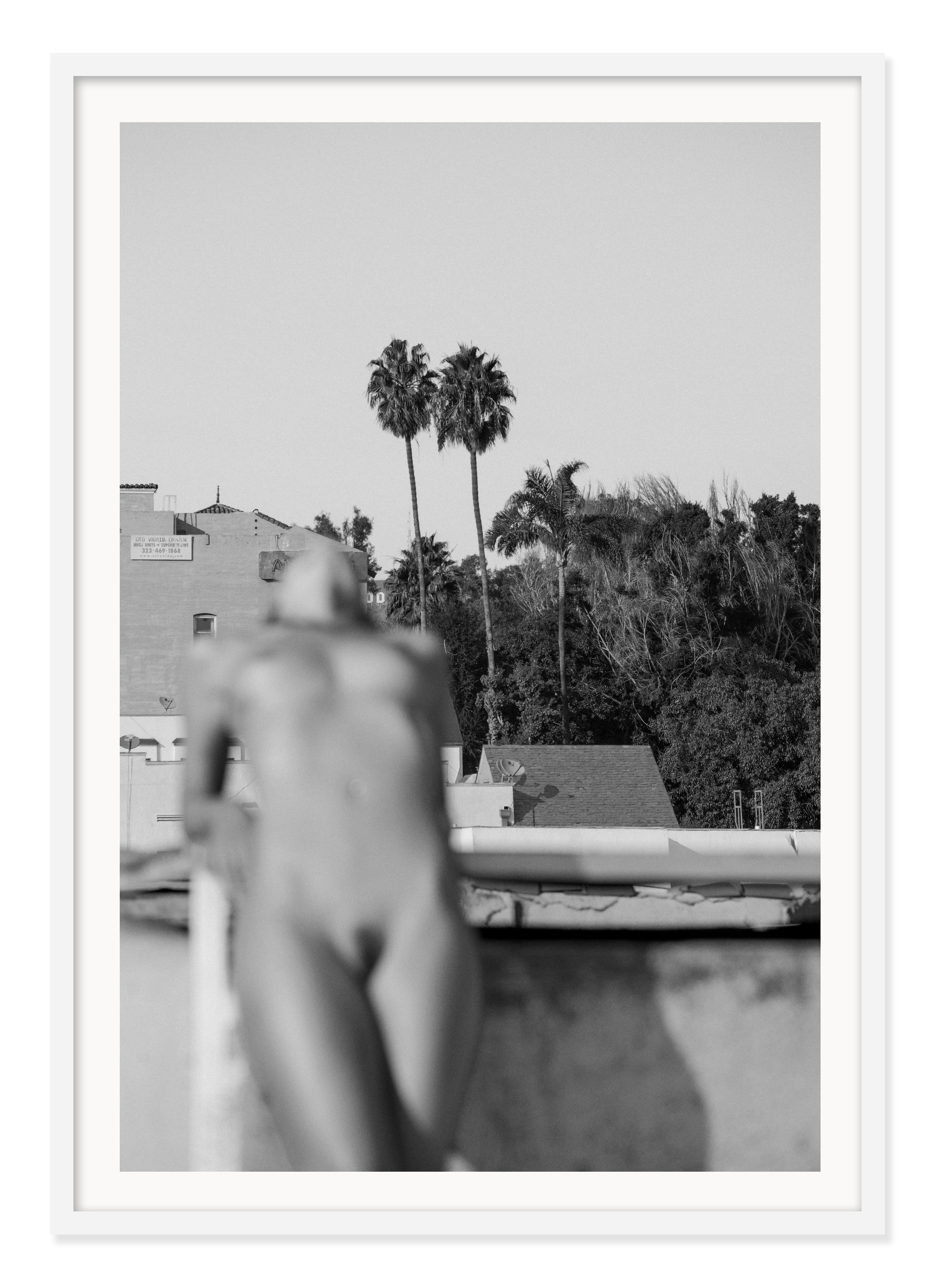 „Two Palms“ Fotografie 60