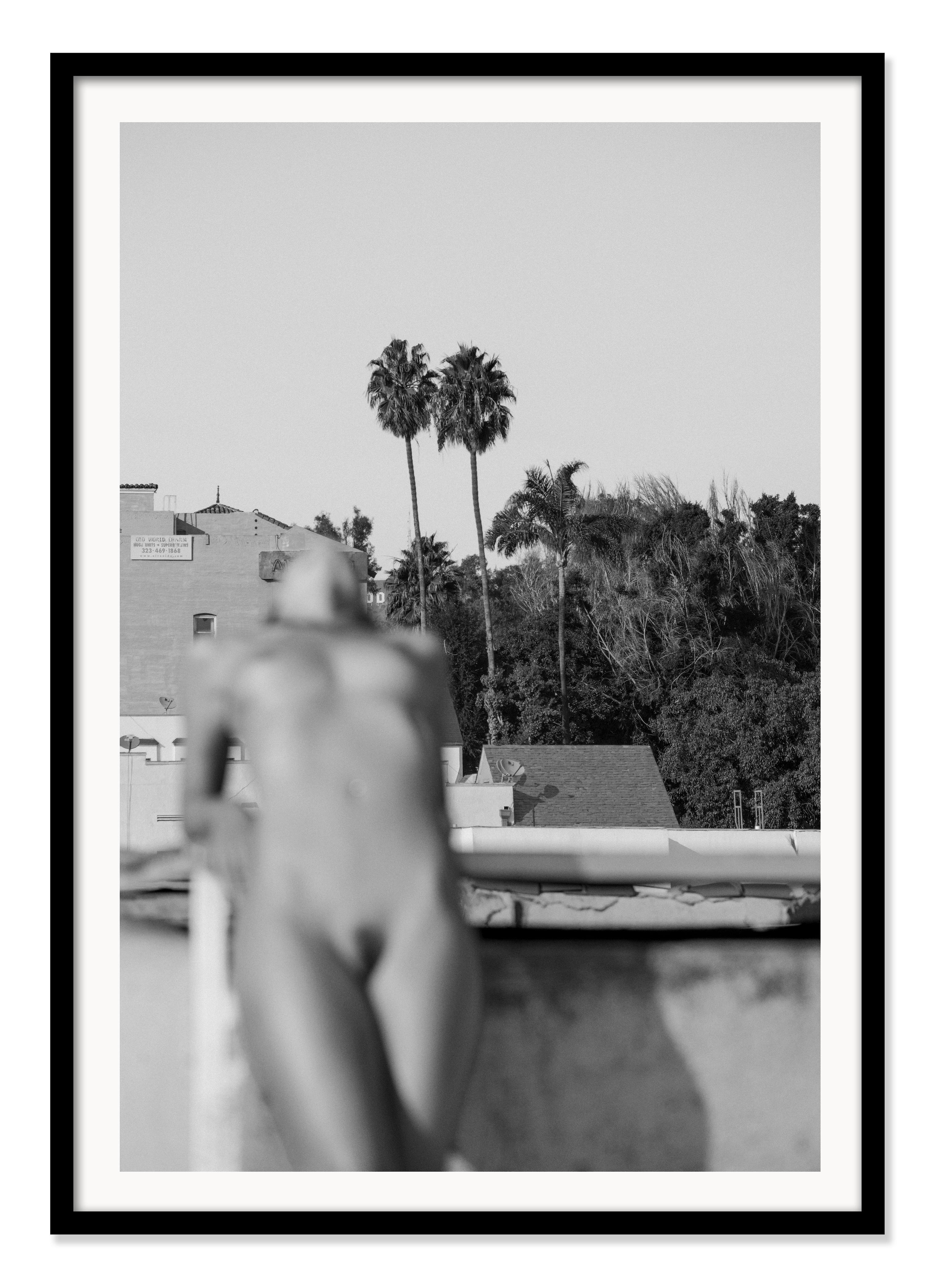 „Two Palms“ Fotografie 60