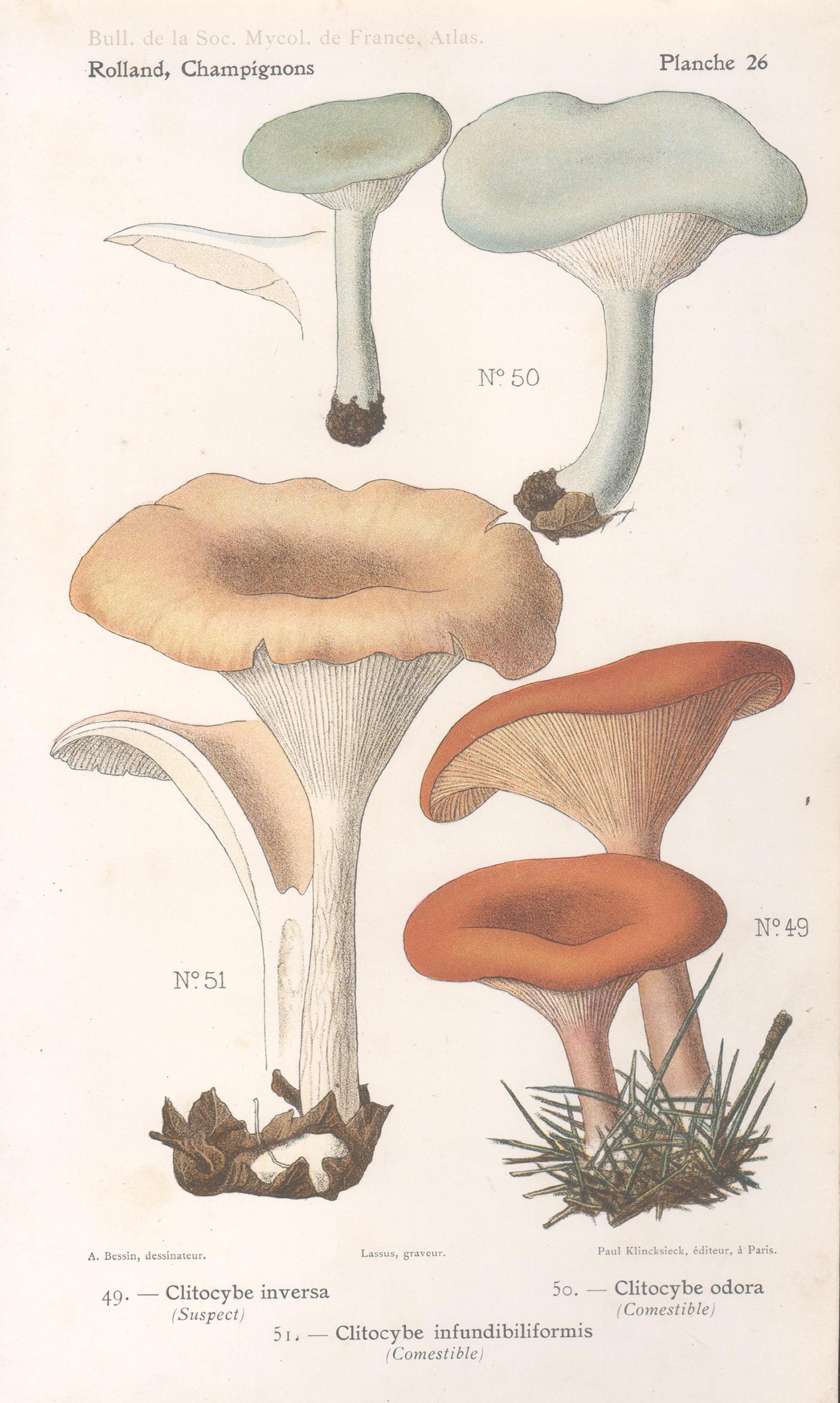 Lassus after Aimé Bessin Still-Life Print - Champignons, French antique mushroom chromolithograph, 1910