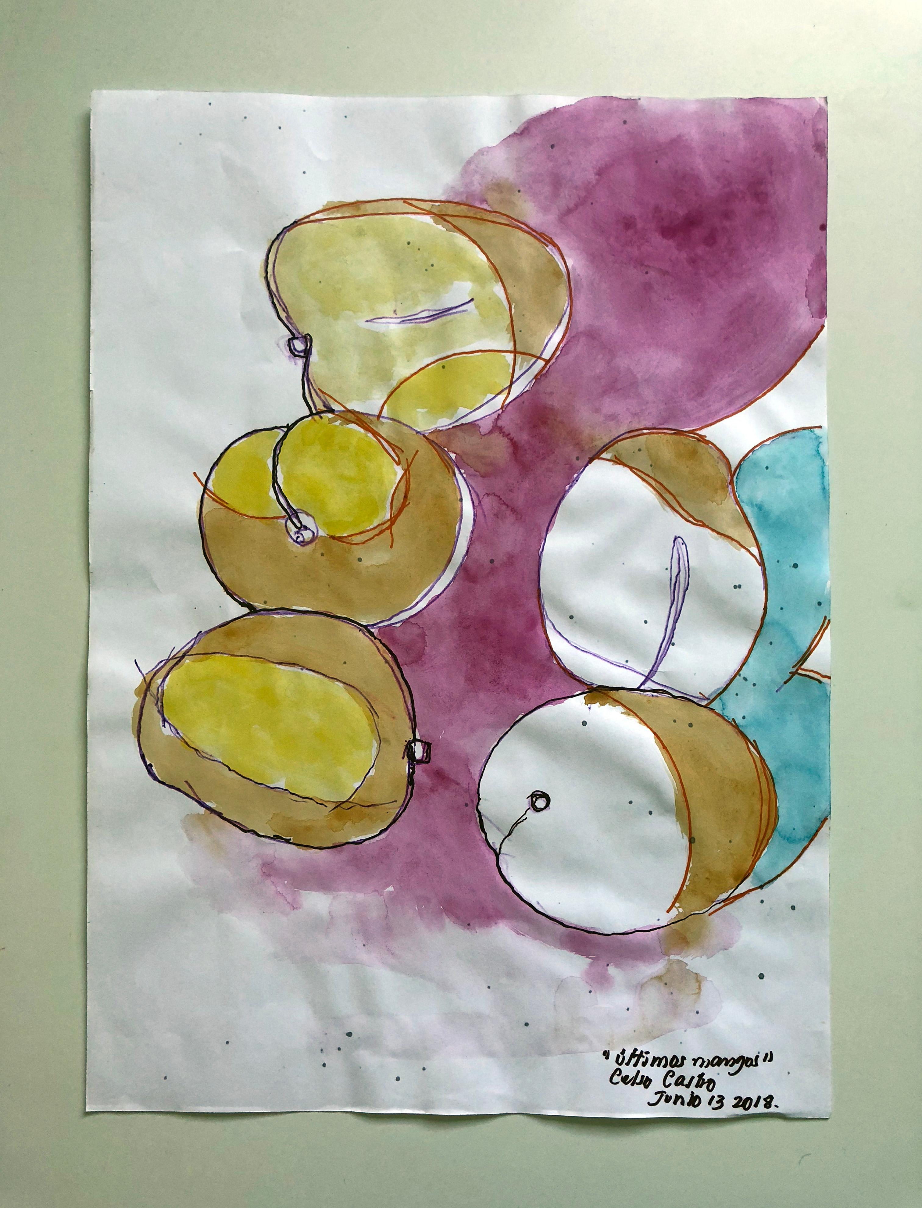 Últimos Mangos by Celso Castro
Watercolor and ink on archival paper
Individual size: 19.38 in. H x 13.5 in. W
Overall size: 19.38 in. H x 40.5 in. W
One of a kind
2018

Celso Castro-Daza was born in Valledupar, Colombia. He has a BFA from