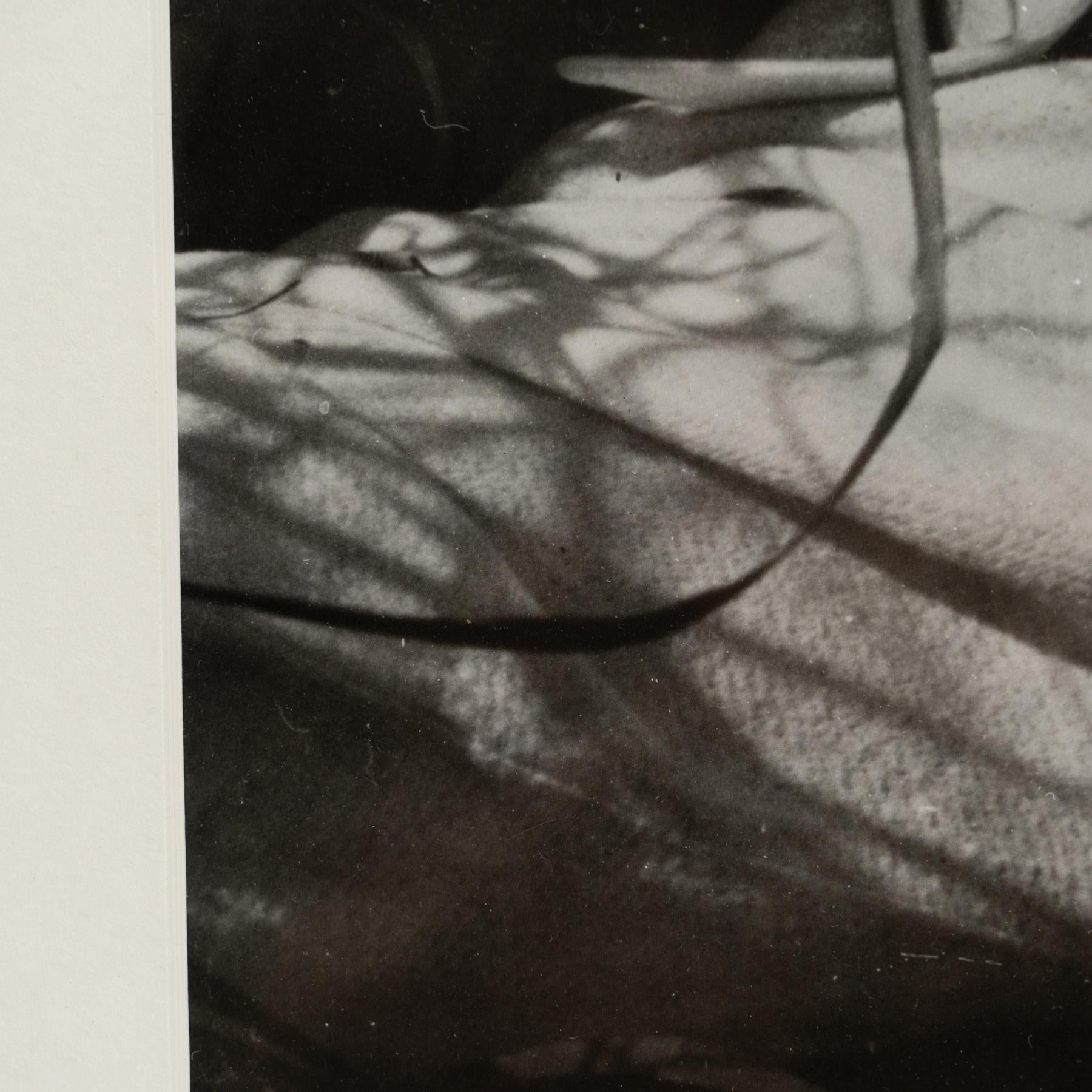 László Moholy-Nagy 