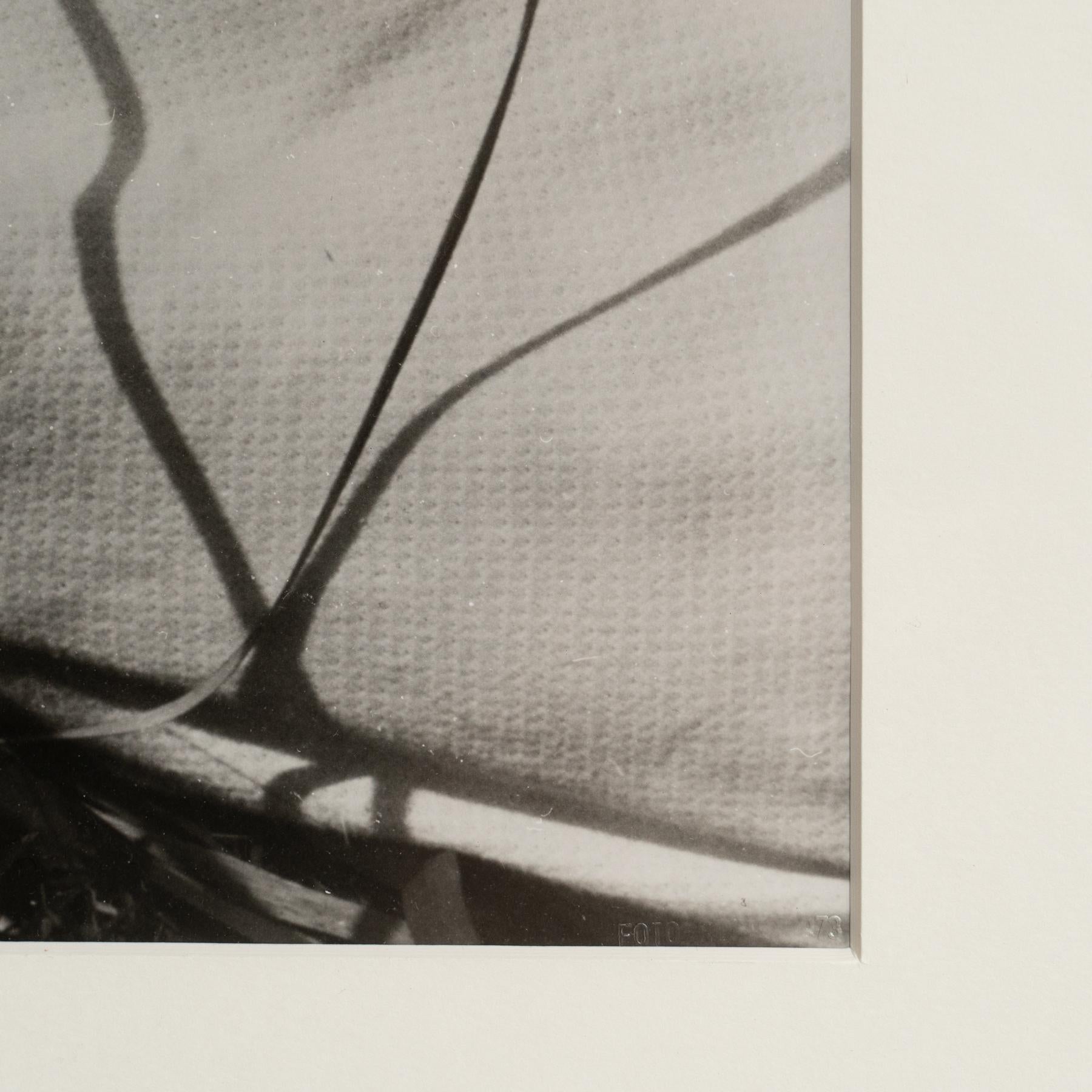 László Moholy-Nagy 