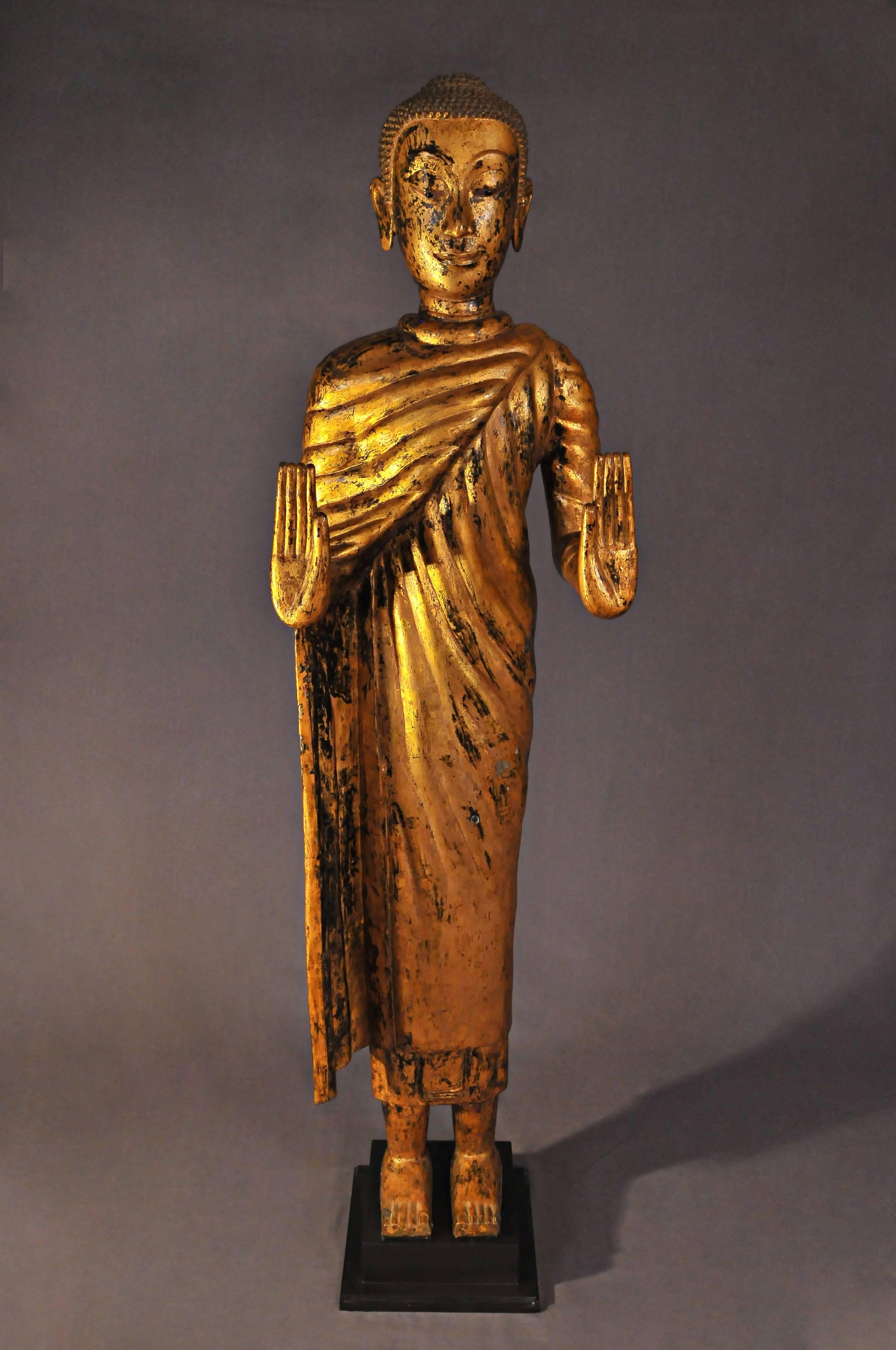 This gilded bronze statue is exceptional both in size and presence.

The master is here represented standing in the gesture of 'Abhaya-Mudra', 'Absence of fear', both hands raised, palms open.

He is dressed in Uttarasanga, a large draped piece,