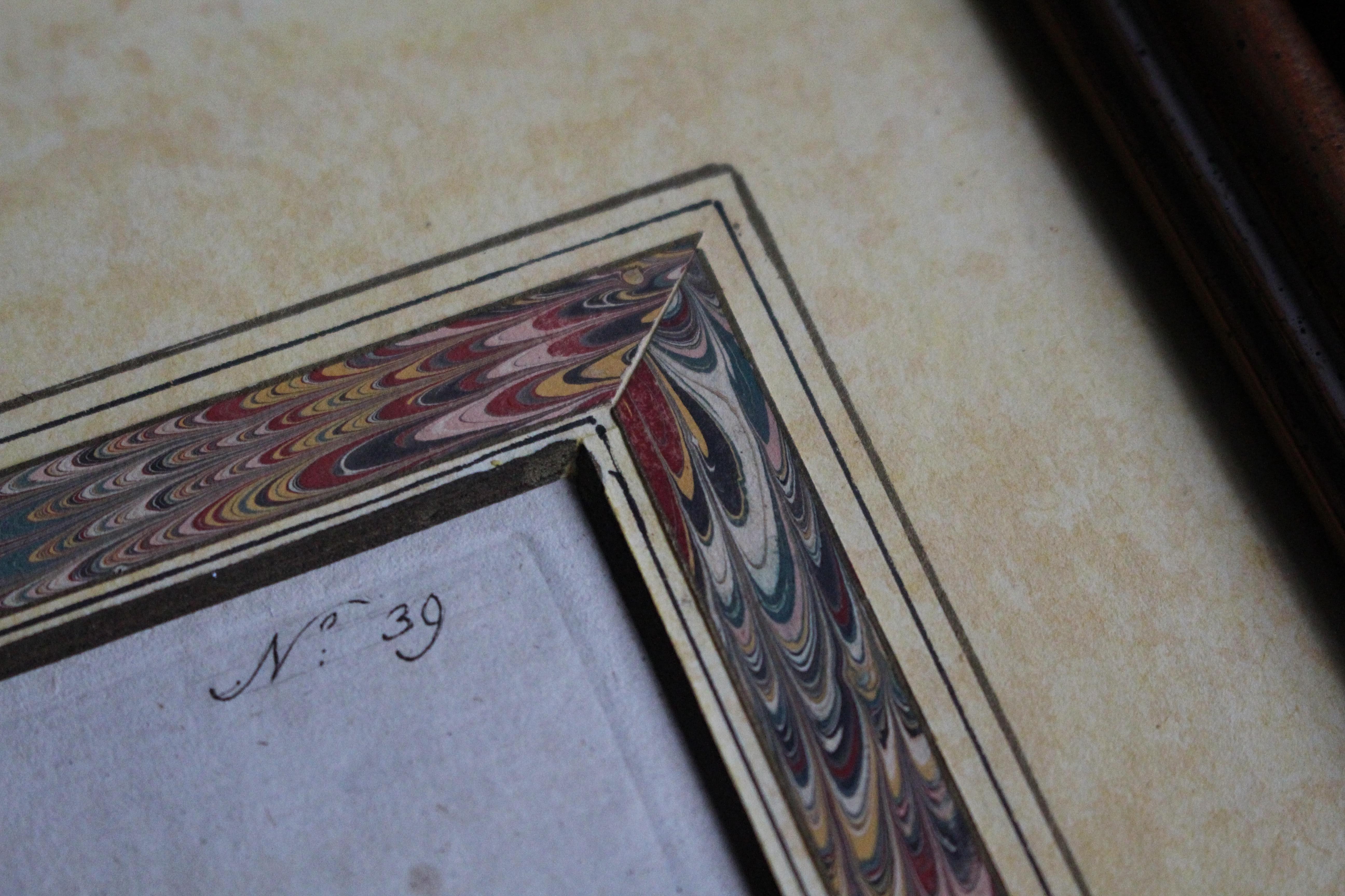 Late 18 C W.Curtis Hand Coloured Botanical Lithograph Plates Faux Marble Mounts For Sale 3