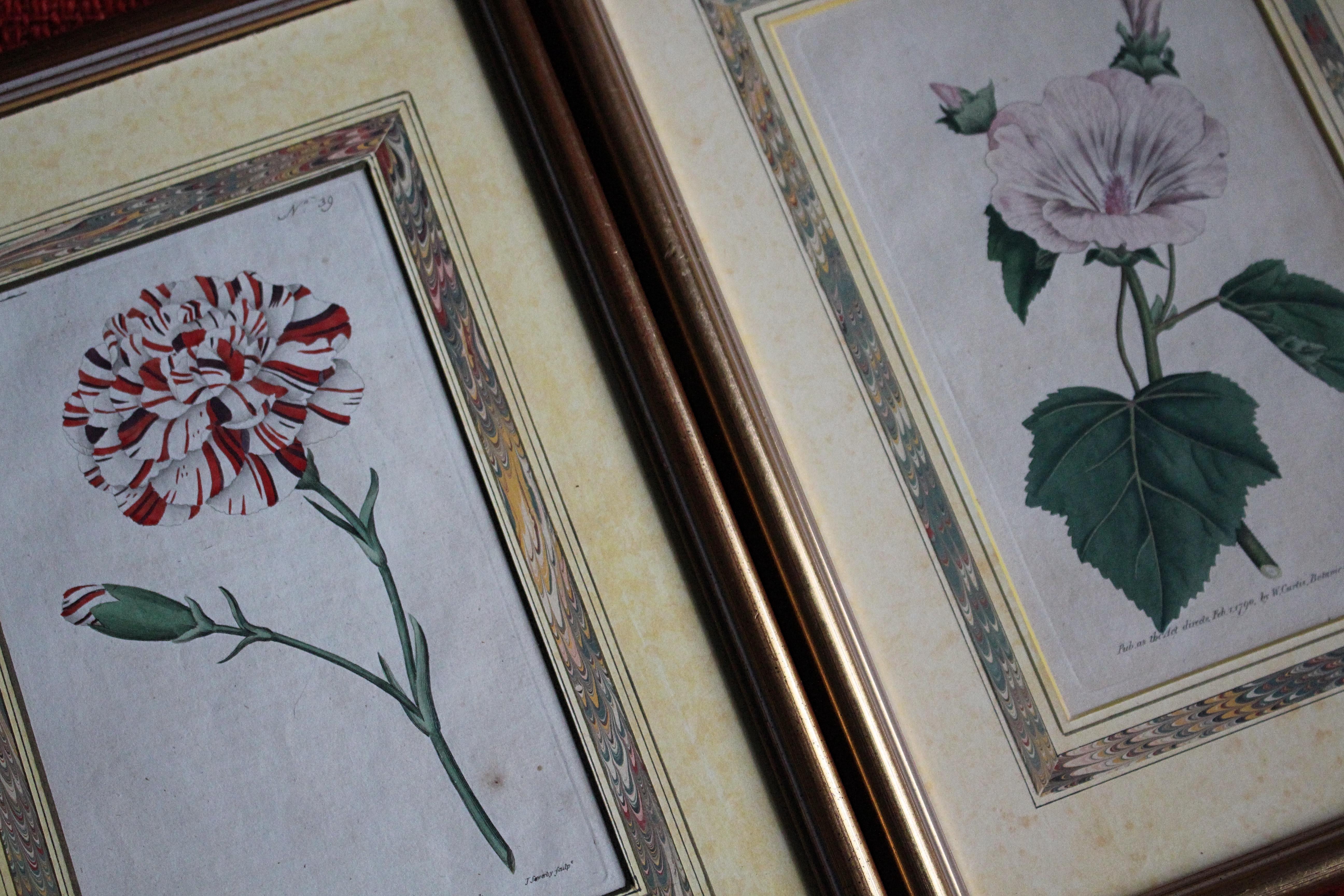 Late 18 C W.Curtis Hand Coloured Botanical Lithograph Plates Faux Marble Mounts For Sale 8