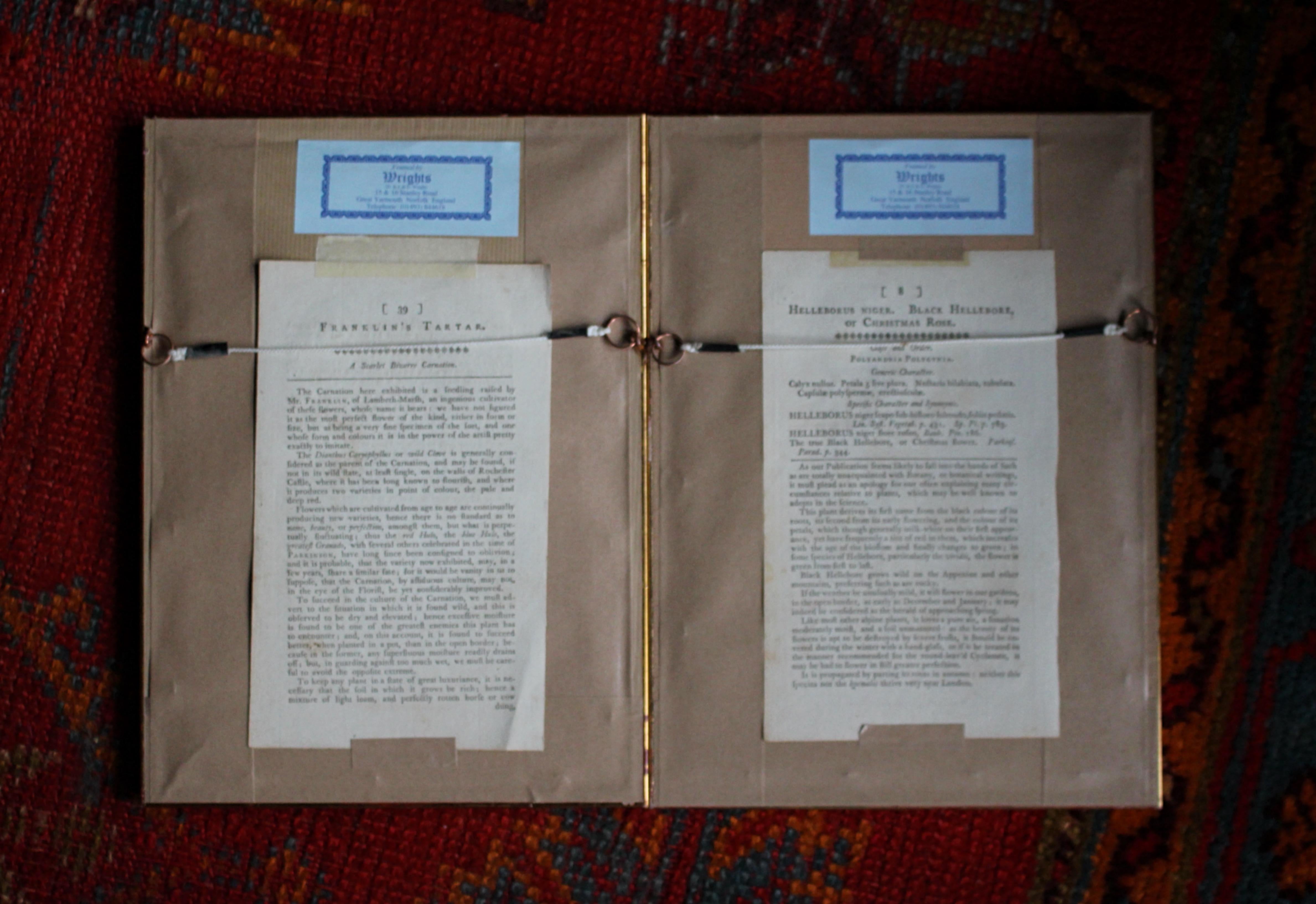 Late 18 C W.Curtis Hand Coloured Botanical Lithograph Plates Faux Marble Mounts For Sale 9