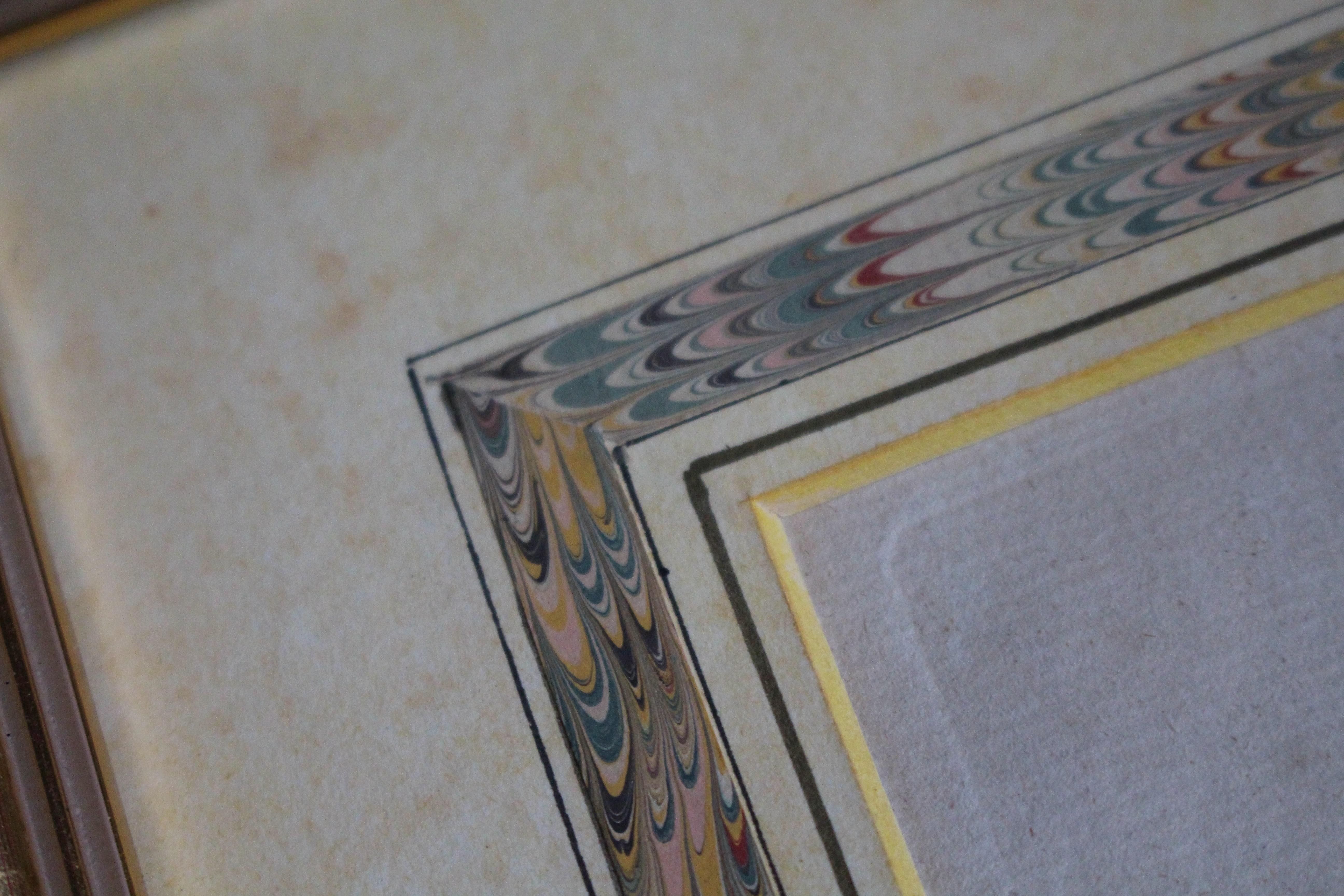 18th Century Late 18 C W.Curtis Hand Coloured Botanical Lithograph Plates Faux Marble Mounts For Sale