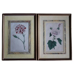 Late 18 C W.Curtis Hand Coloured Botanical Lithograph Plates Faux Marble Mounts