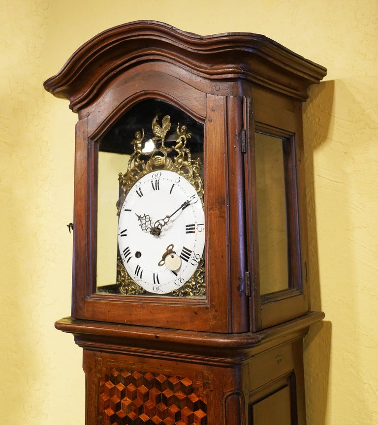Late 18h Century French Provincial Walnut and Marquetry Tall Case Clock