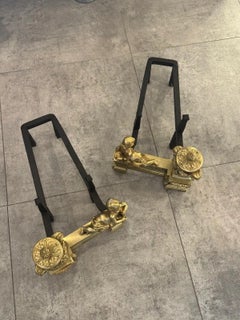 A pair of late 18th-century andirons in perfect condition.