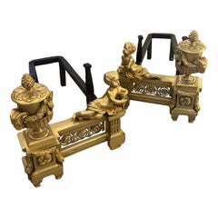 A pair of late 18th-century andirons in perfect condition.