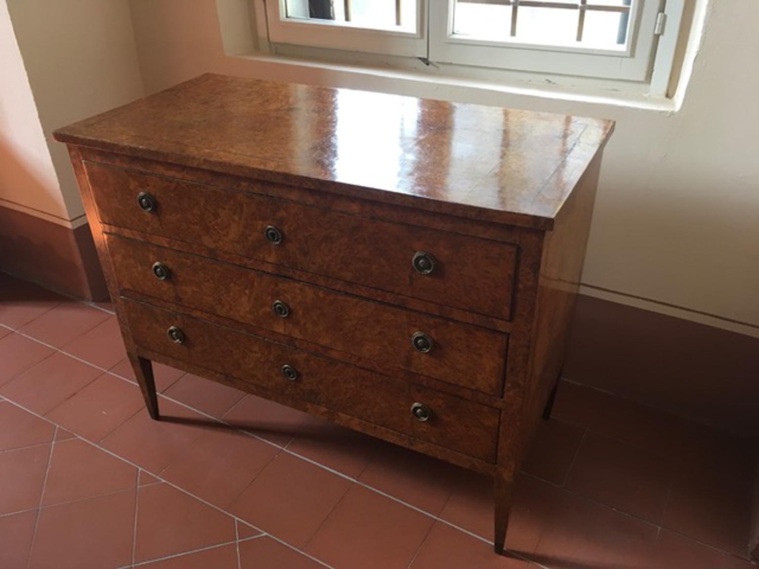 Italy Late 18th Century Regency Elmwood Root Chest of Drawers For Sale 4
