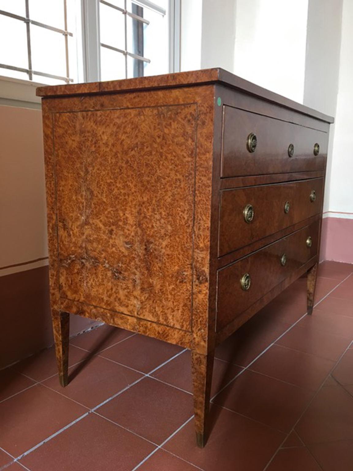 Italy Late 18th Century Regency Elmwood Root Chest of Drawers For Sale 8