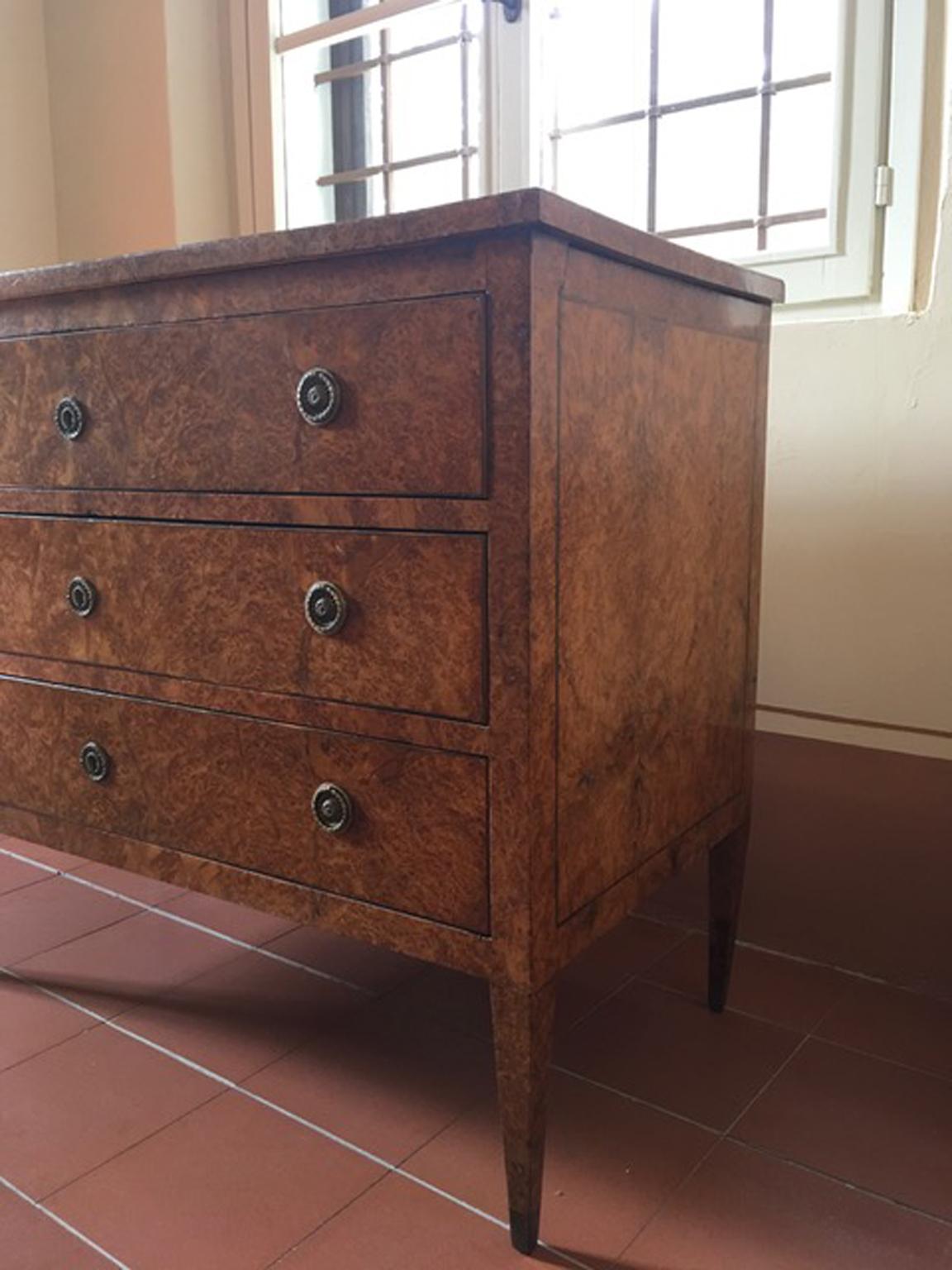 Italy Late 18th Century Regency Elmwood Root Chest of Drawers For Sale 11